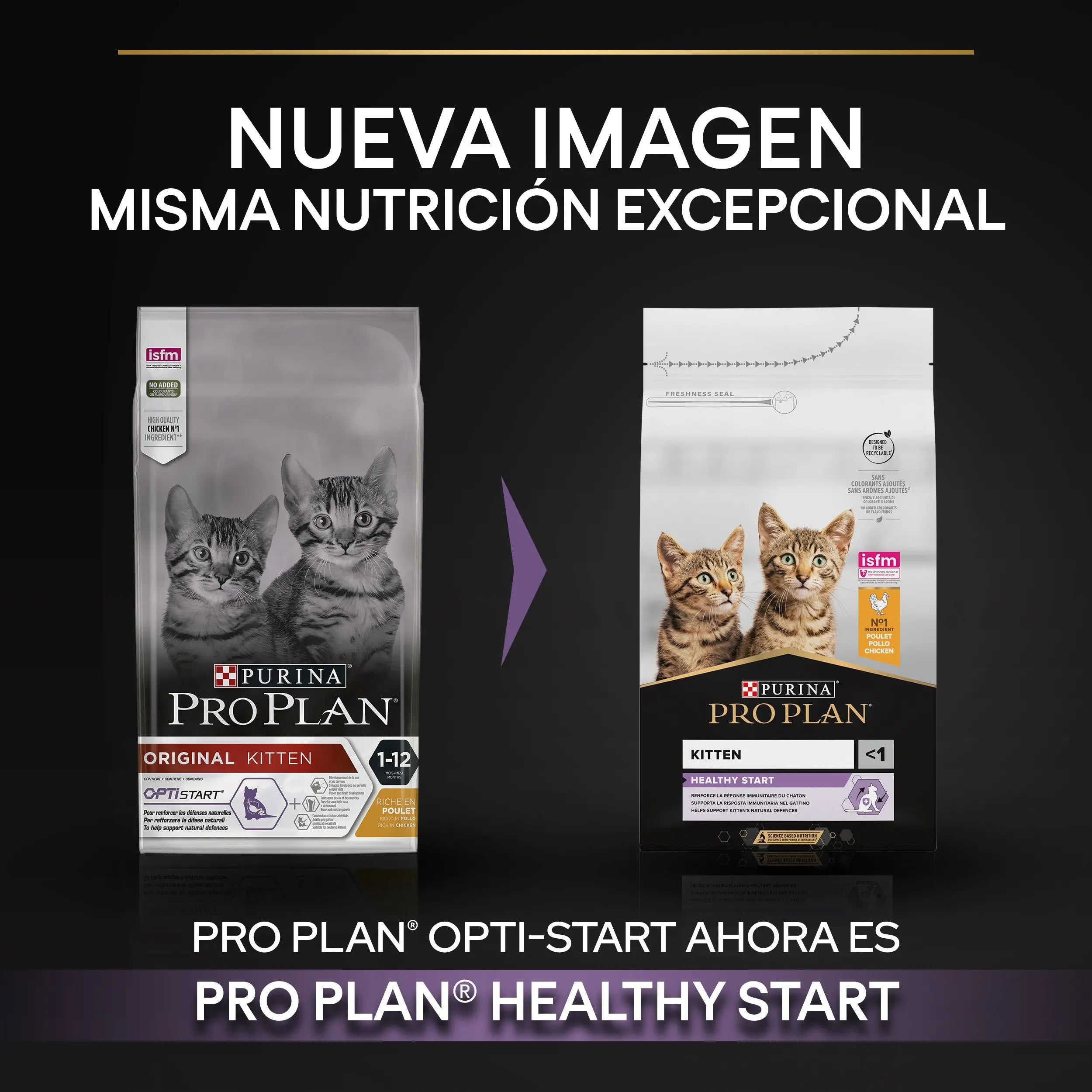 Pro Plan Cat Kitten Start Pollo Pienso para Gatitos al mejor precio -todoastorenimal.com