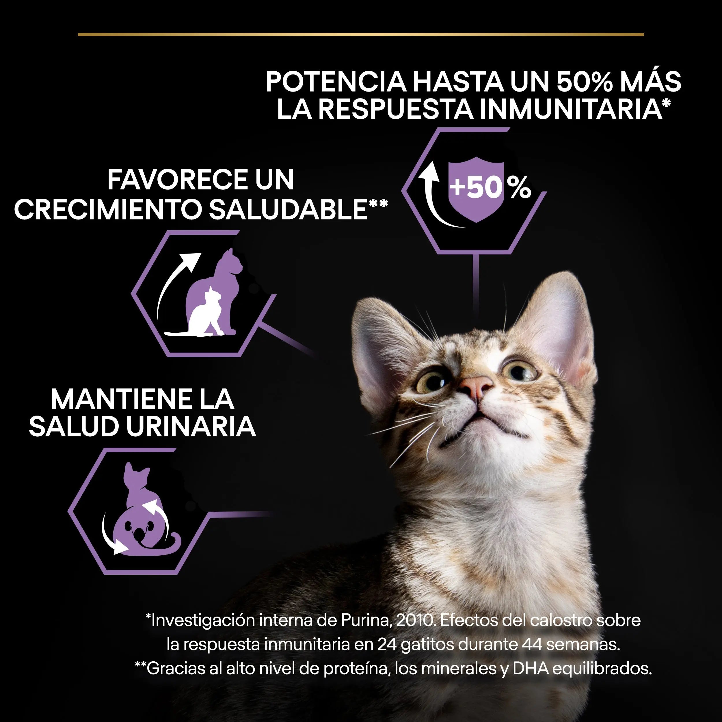 Pro Plan Cat Kitten Start Pollo Pienso para Gatitos al mejor precio -todoastorenimal.com