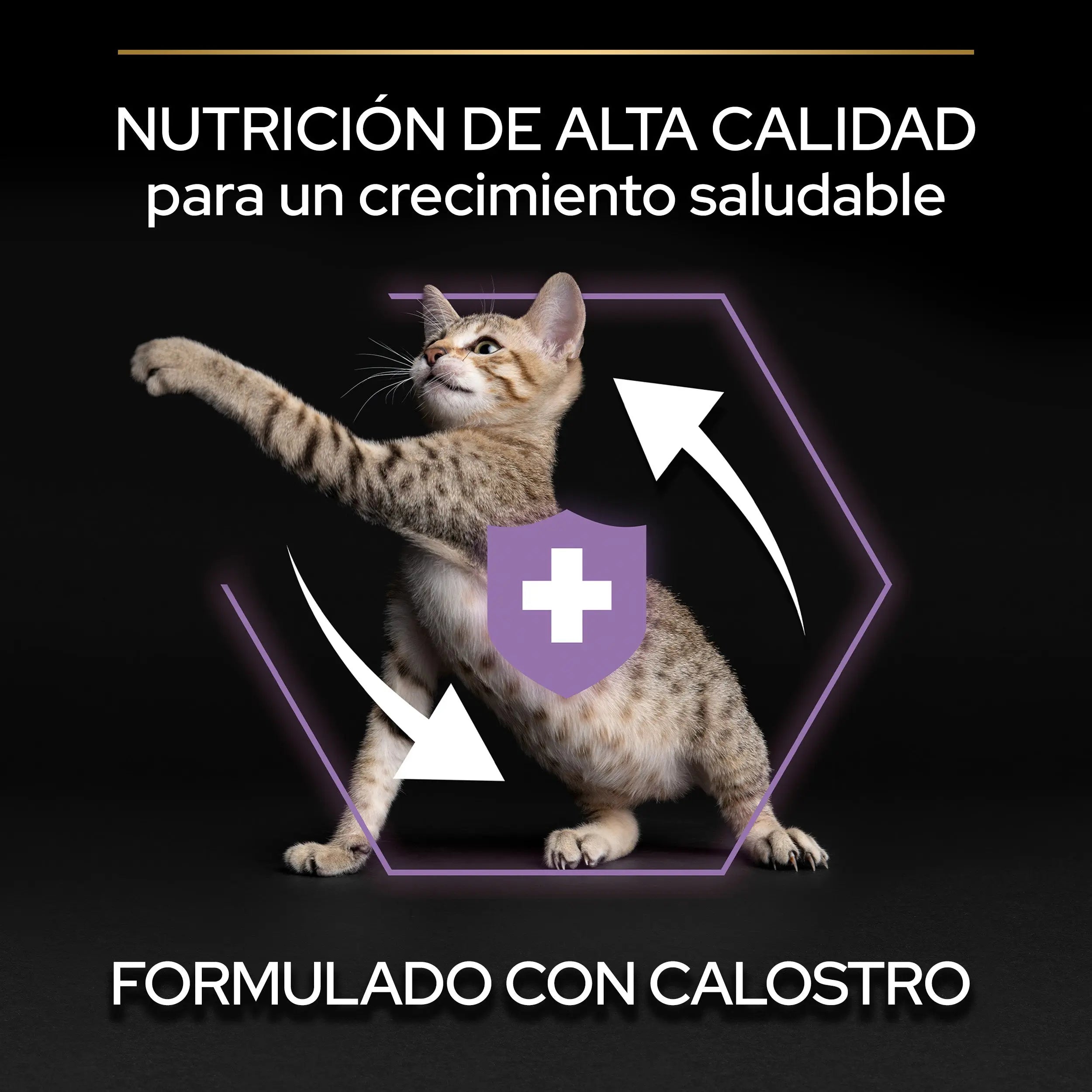 Pro Plan Cat Kitten Start Pollo Pienso para Gatitos al mejor precio -todoastorenimal.com