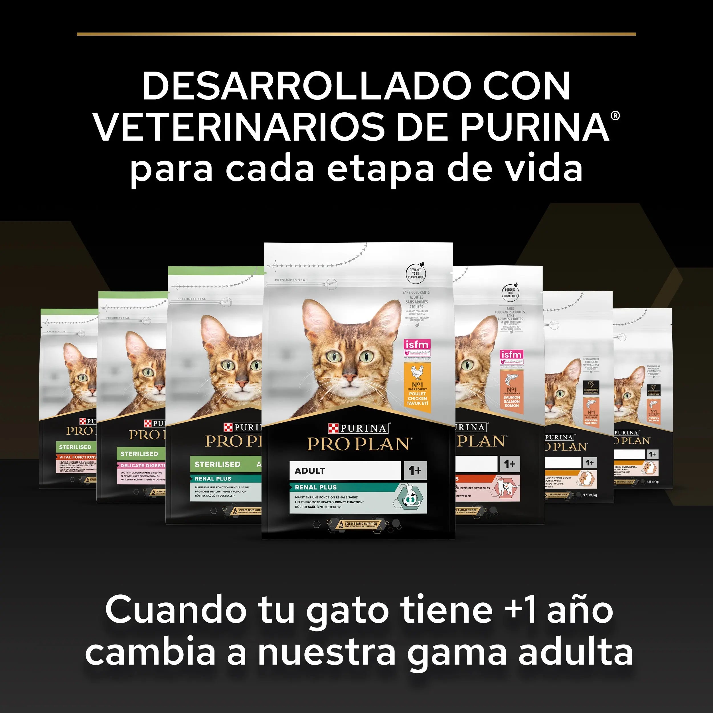 Pro Plan Cat Kitten Start Pollo Pienso para Gatitos al mejor precio -todoastorenimal.com