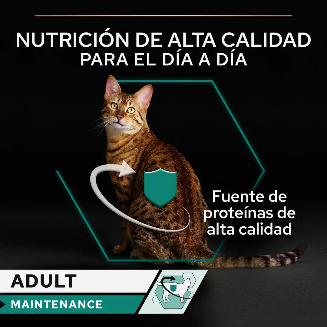 Pro Plan Cat Lata Adult Pollo 85 g al mejor precio -todoastorenimal.com