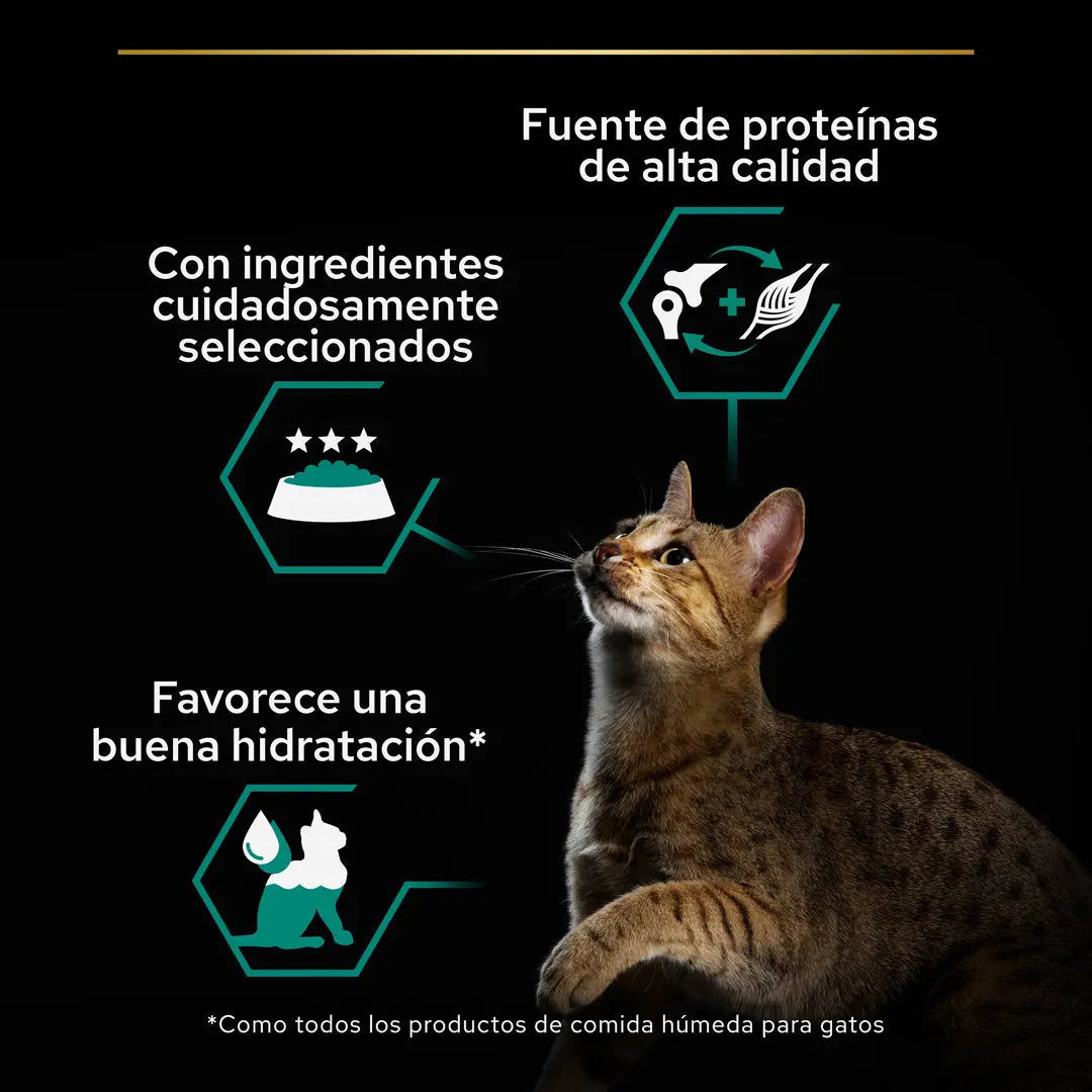 Pro Plan Cat Lata Adult Pollo 85 g al mejor precio -todoastorenimal.com