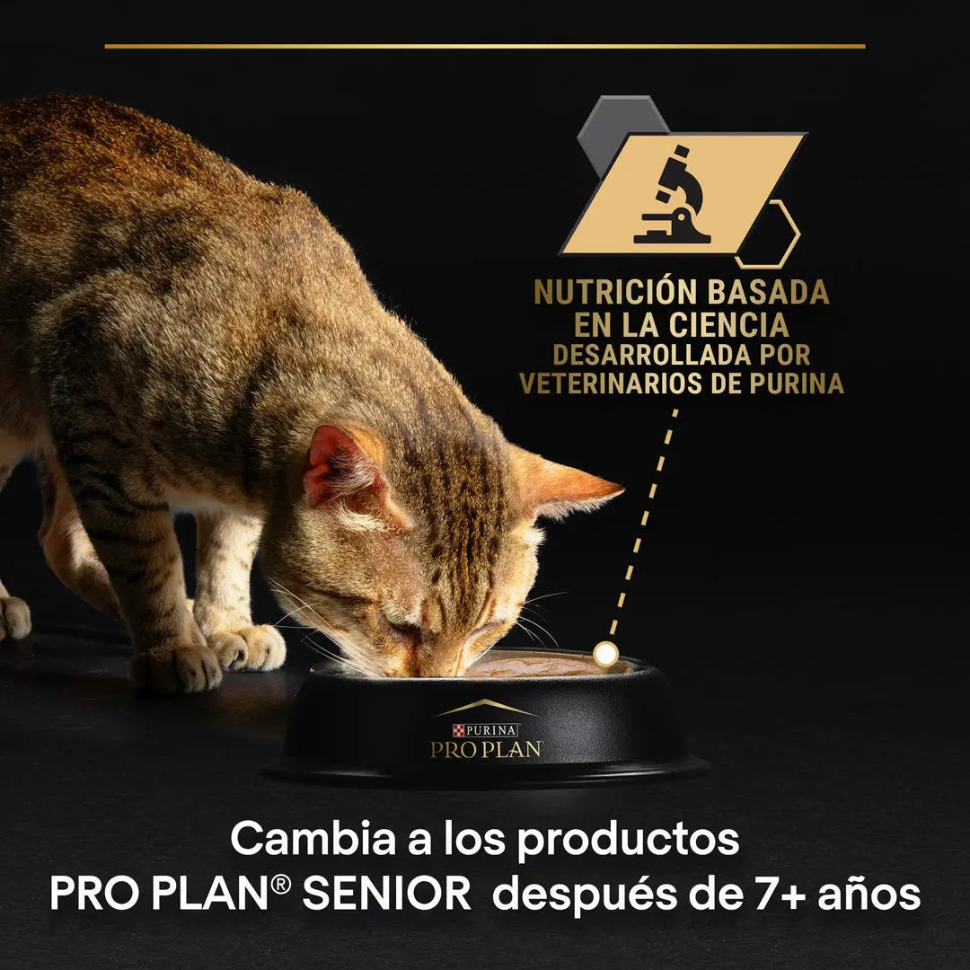 Pro Plan Cat Lata Adult Pollo 85 g al mejor precio -todoastorenimal.com