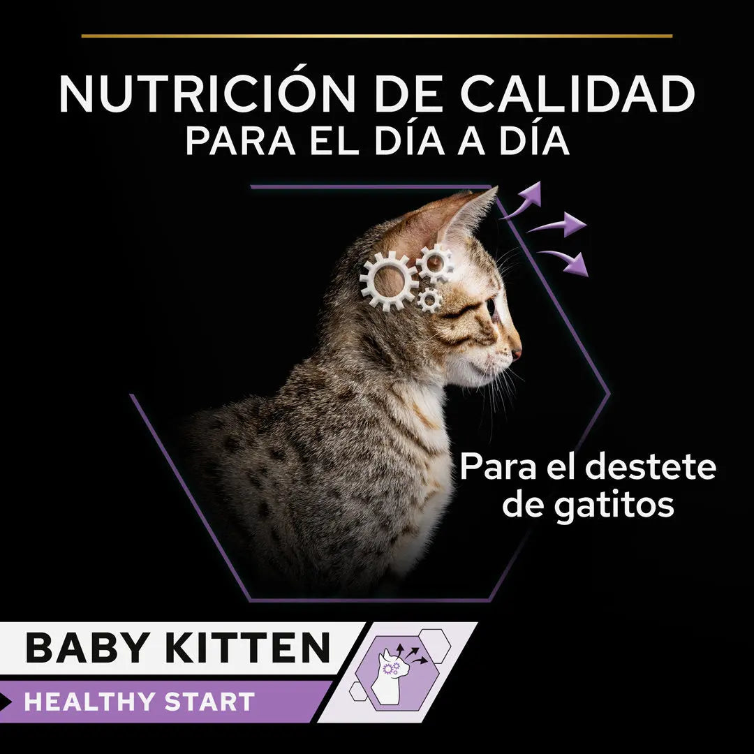 Pro Plan Cat Lata Baby Kitten Pollo 85 g al mejor precio -todoastorenimal.com