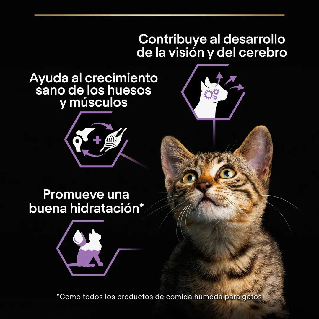 Pro Plan Cat Lata Baby Kitten Pollo 85 g al mejor precio -todoastorenimal.com