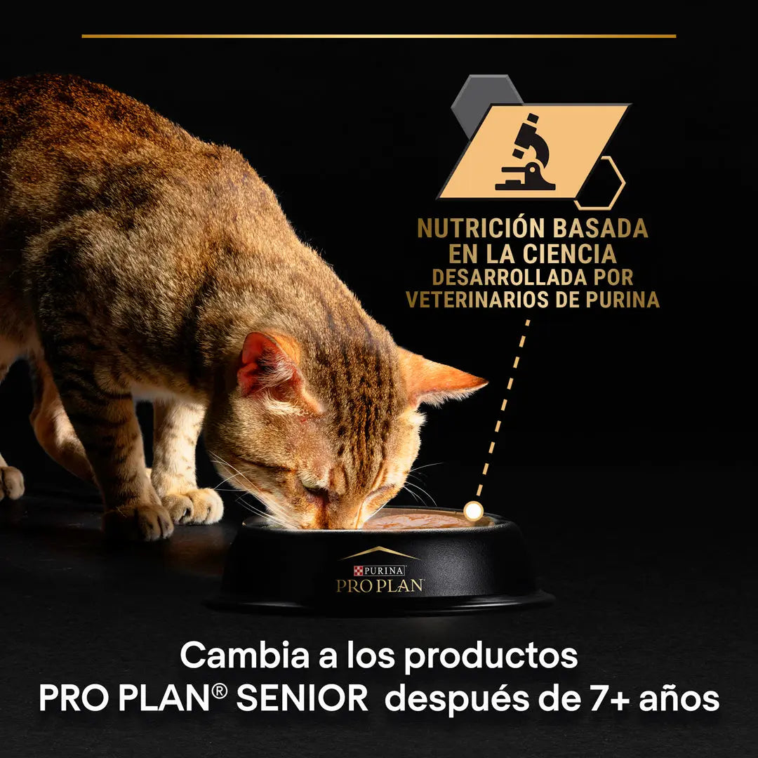 Pro Plan Cat Sobre Delicate Pescado Pack 10x85 g al mejor precio -todoastorenimal.com