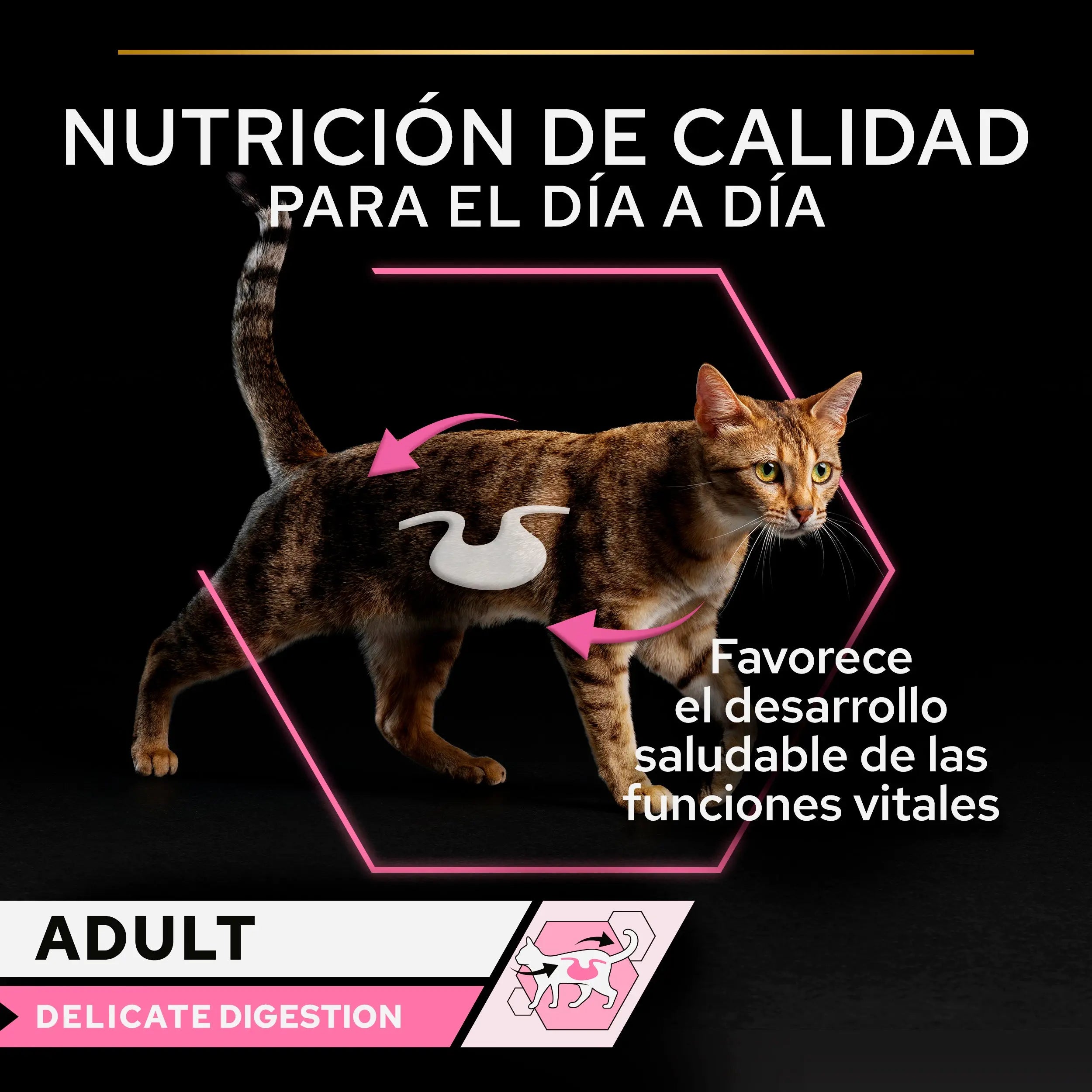 Pro Plan Cat Sobre Delicate Pescado&Pavo Pack 10X85 g al mejor precio -todoastorenimal.com