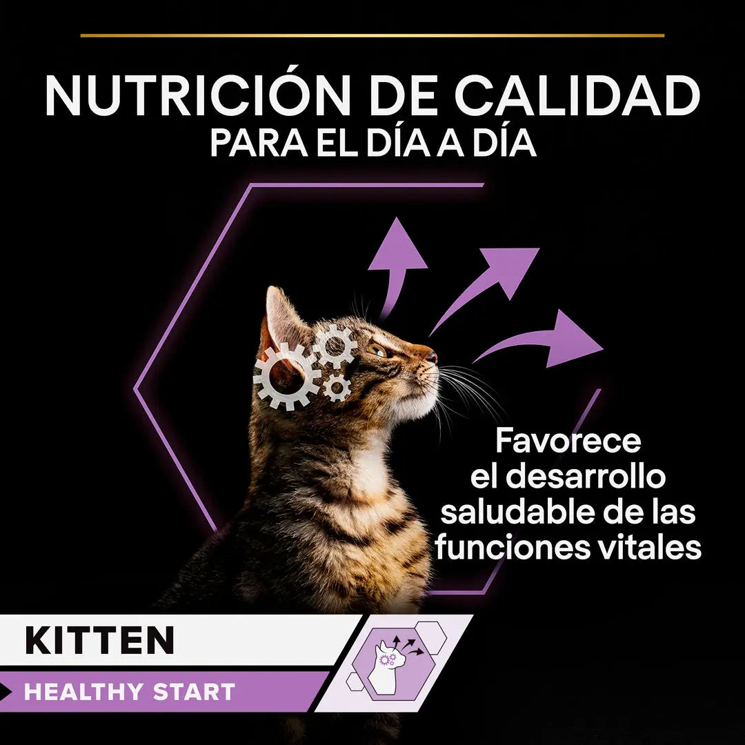 Pro Plan Cat Sobre Kitten Pavo 85 g al mejor precio -todoastorenimal.com