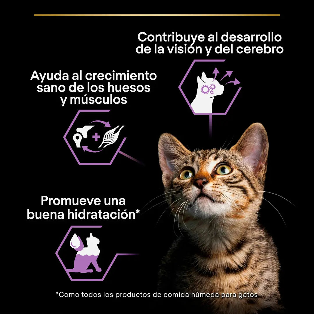 Pro Plan Cat Sobre Kitten Pavo 85 g al mejor precio -todoastorenimal.com