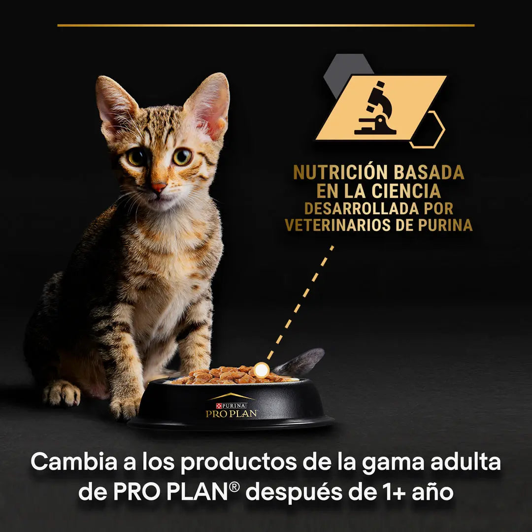 Pro Plan Cat Sobre Kitten Pavo 85 g al mejor precio -todoastorenimal.com