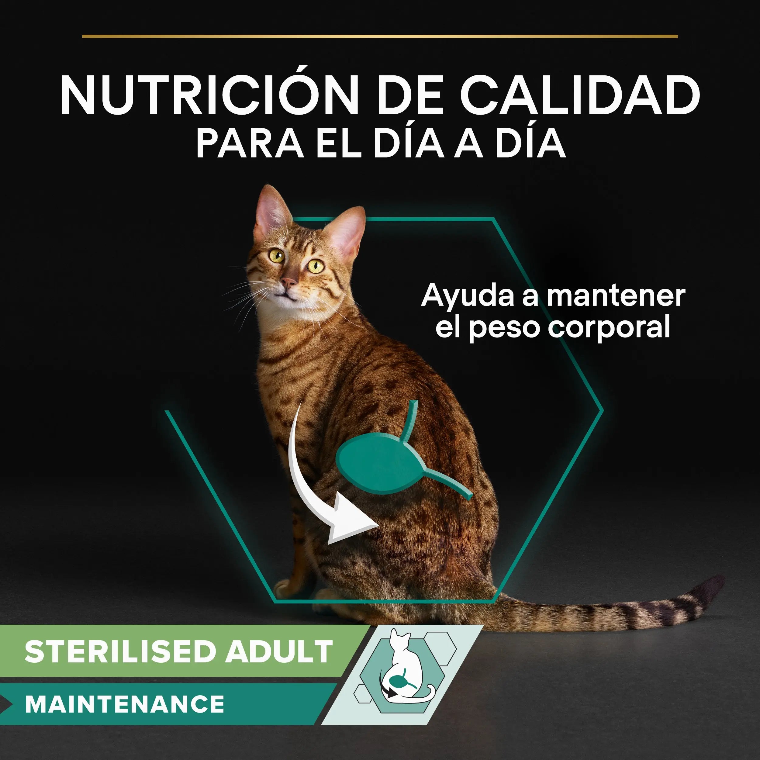 Pro Plan Cat Sobre Sterilised Bacalao Pack 10X75 g al mejor precio -todoastorenimal.com