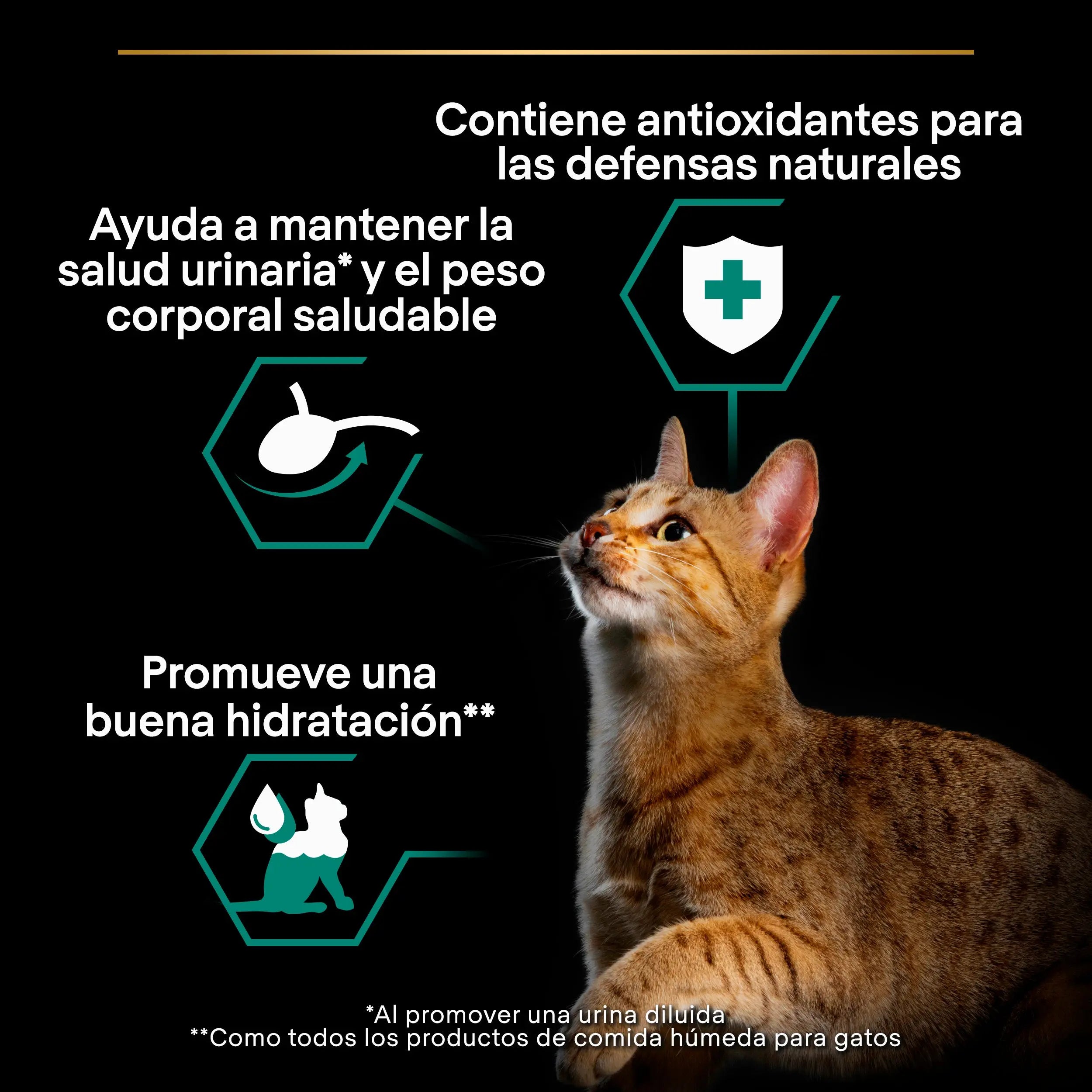 Pro Plan Cat Sobre Sterilised Buey&Pollo Pack 10x85 g al mejor precio -todoastorenimal.com