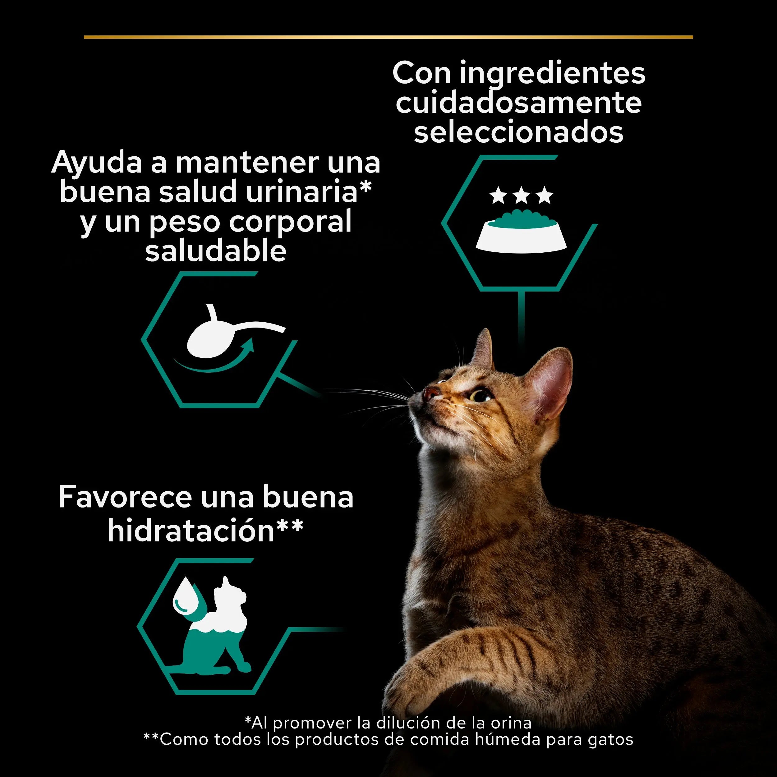 Pro Plan Cat Sterilised Salmón&Atún Pack 12X85 g al mejor precio -todoastorenimal.com