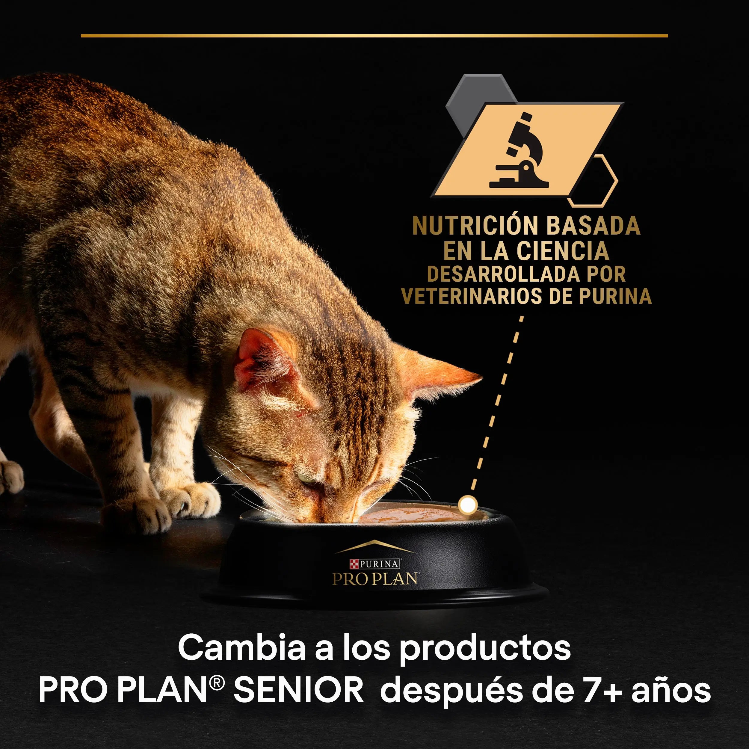 Pro Plan Cat Sterilised Salmón&Atún Pack 12X85 g al mejor precio -todoastorenimal.com