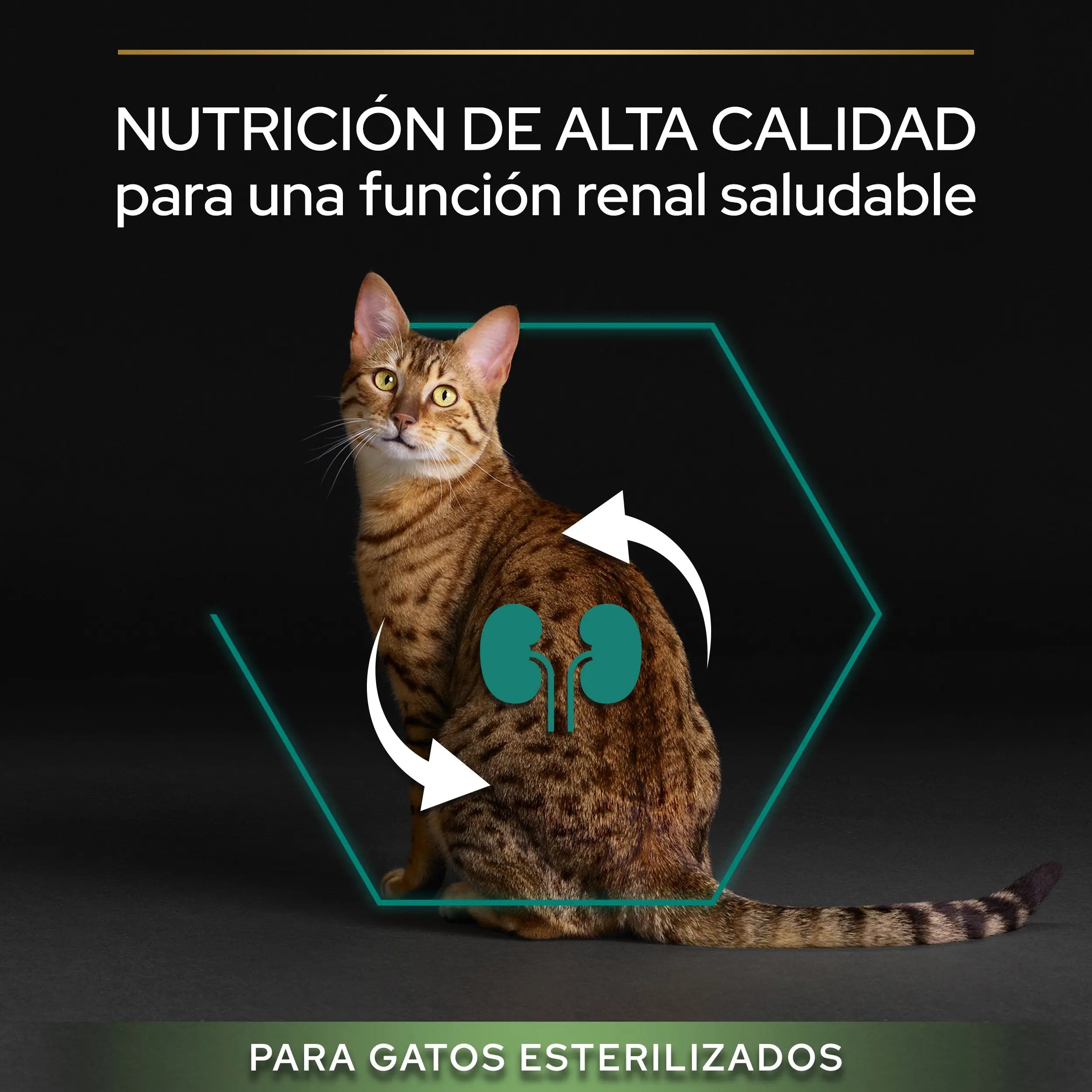 Pro Plan Cat Sterilized Adult Renal+ Pavo 10 kg al mejor precio -todoastorenimal.com