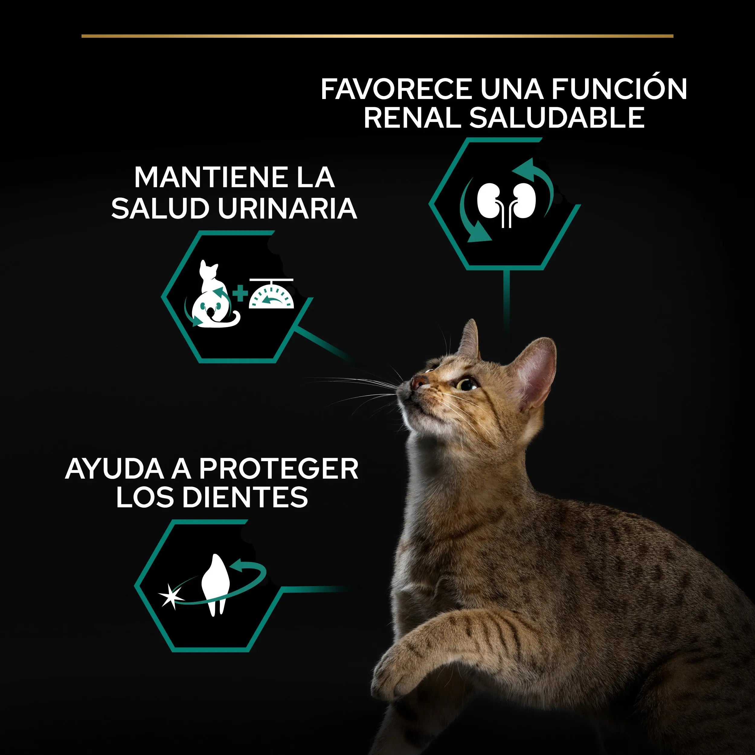 Pro Plan Cat Sterilized Adult Renal+ Pavo 3 kg al mejor precio -todoastorenimal.com