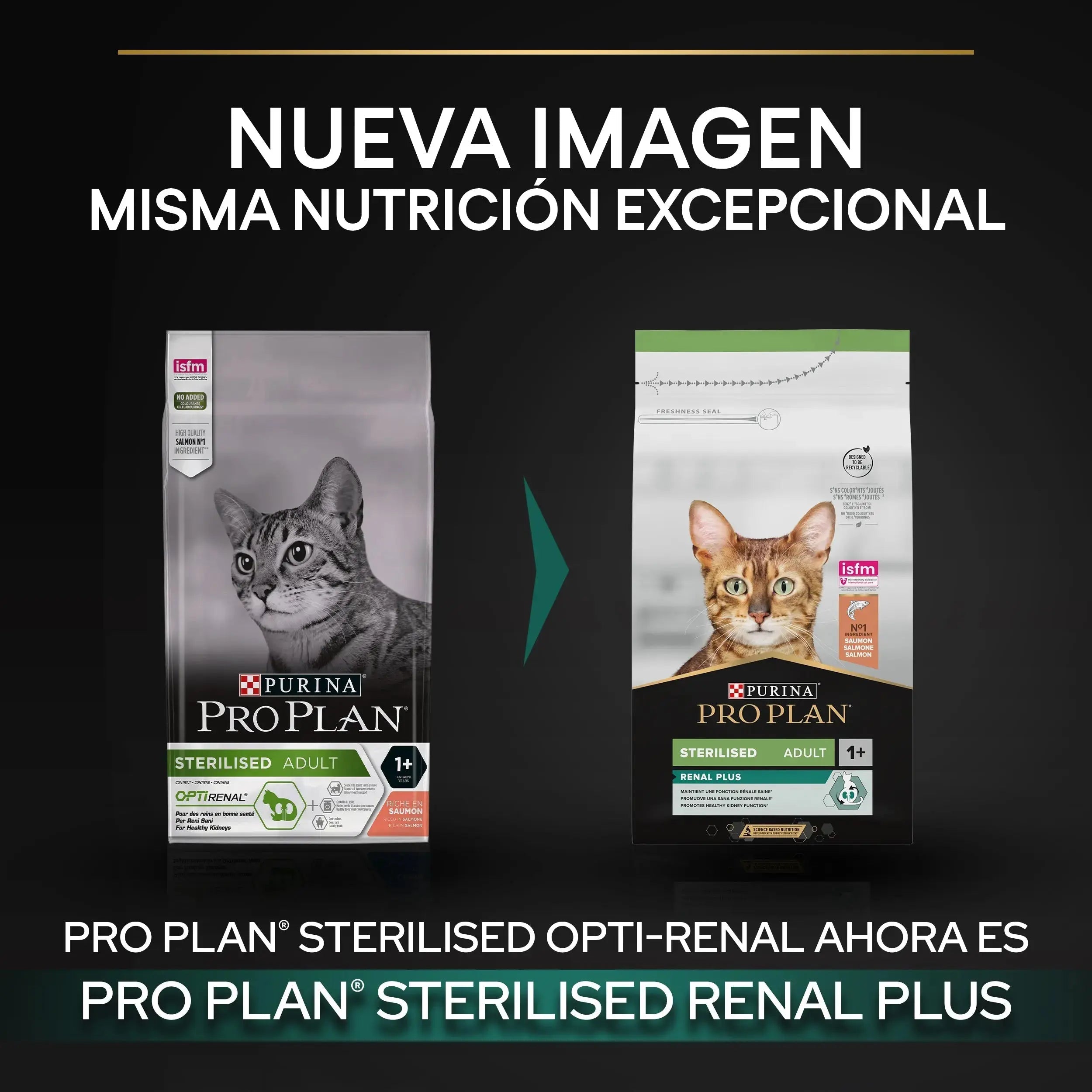Pro Plan Cat Sterilized Adult Renal+ Salmón 10 kg al mejor precio -todoastorenimal.com