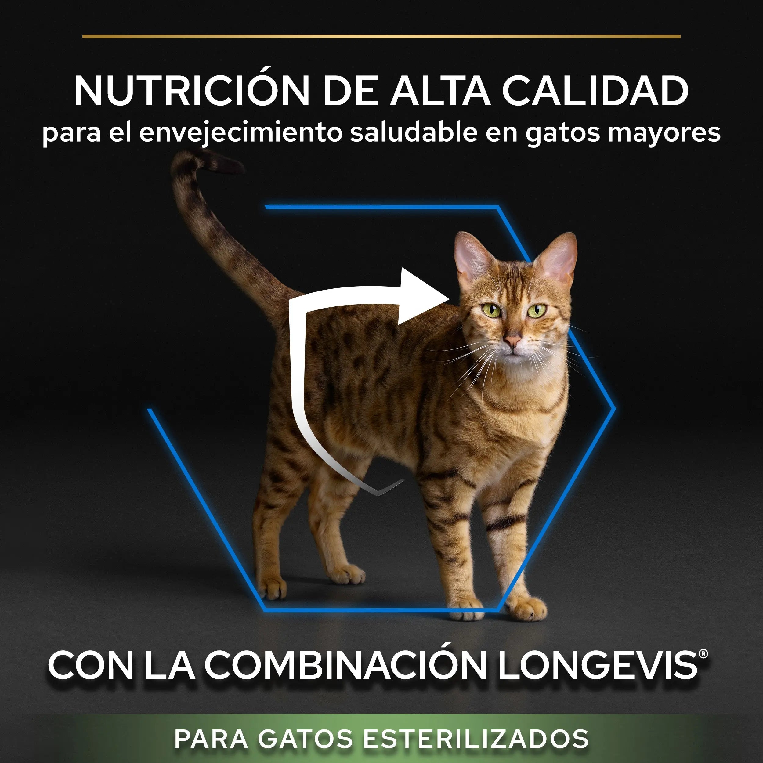Pro Plan Cat Sterilized Senior 7+ Pavo 3 kg al mejor precio -todoastorenimal.com