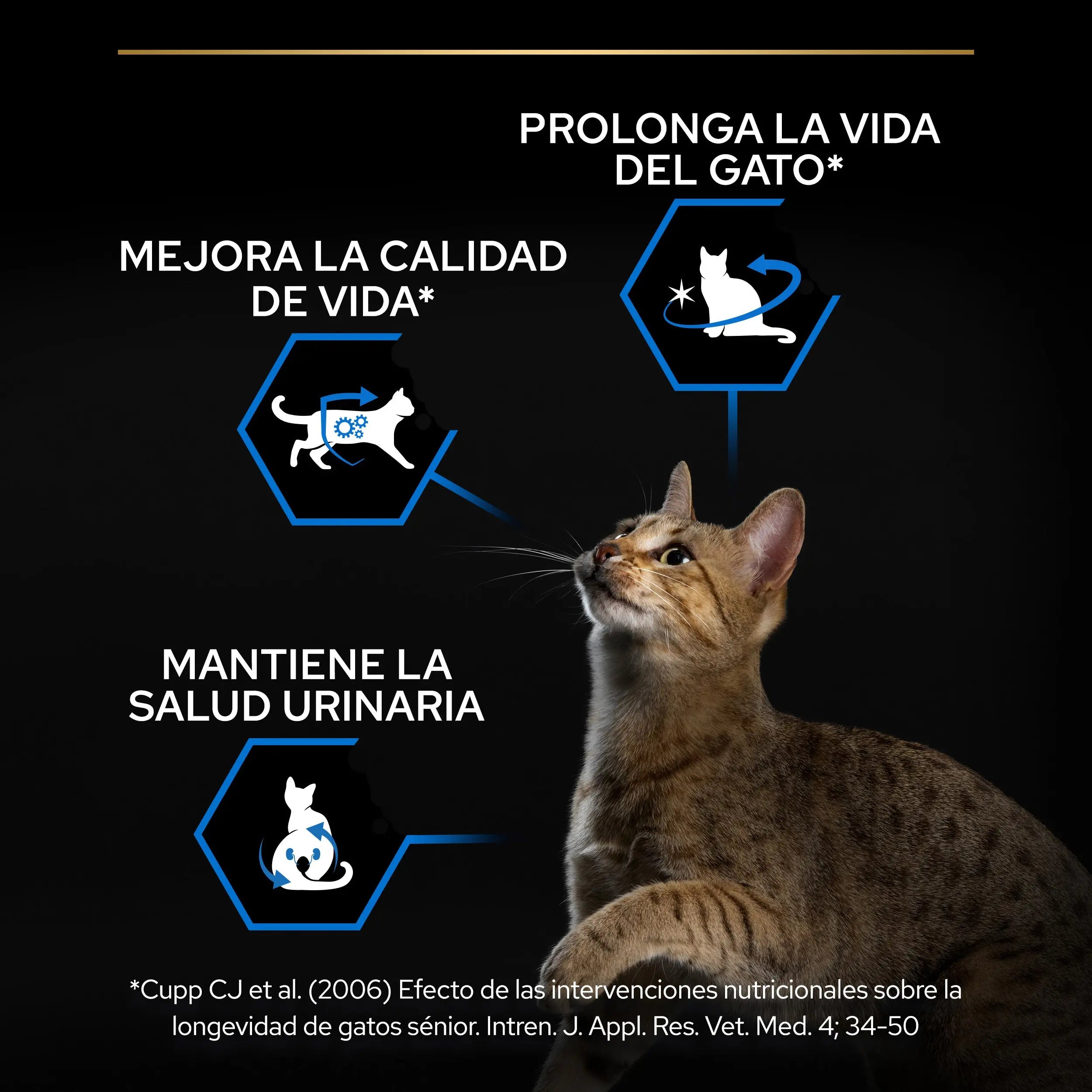 Pro Plan Cat Sterilized Senior 7+ Pavo 3 kg al mejor precio -todoastorenimal.com