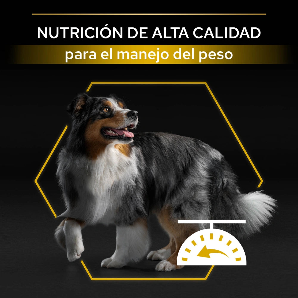 Pro Plan Dog AllSize Adult Light Sterilized Pollo 14kg+2,5kg gratis al mejor precio -todoastorenimal.com