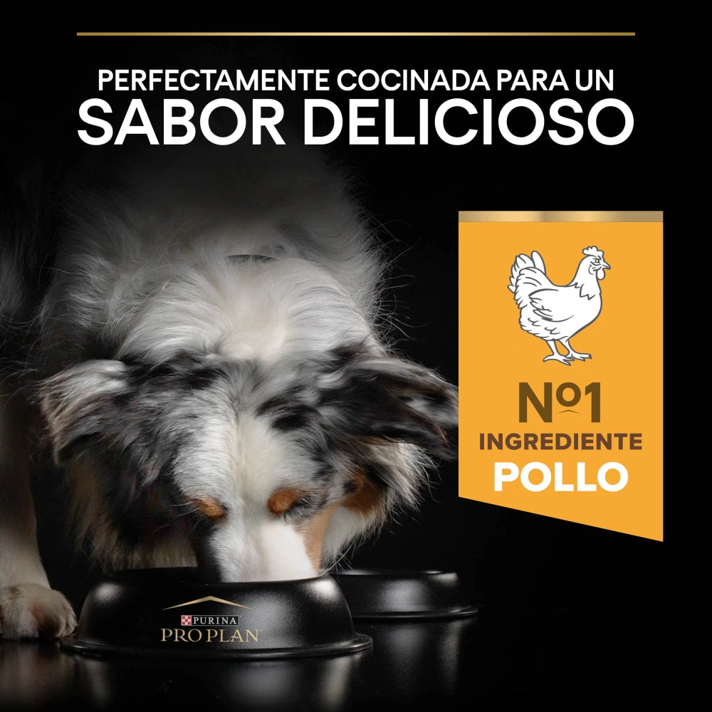 Pro Plan Dog AllSize Adult Light Sterilized Pollo 14kg+2,5kg gratis al mejor precio -todoastorenimal.com