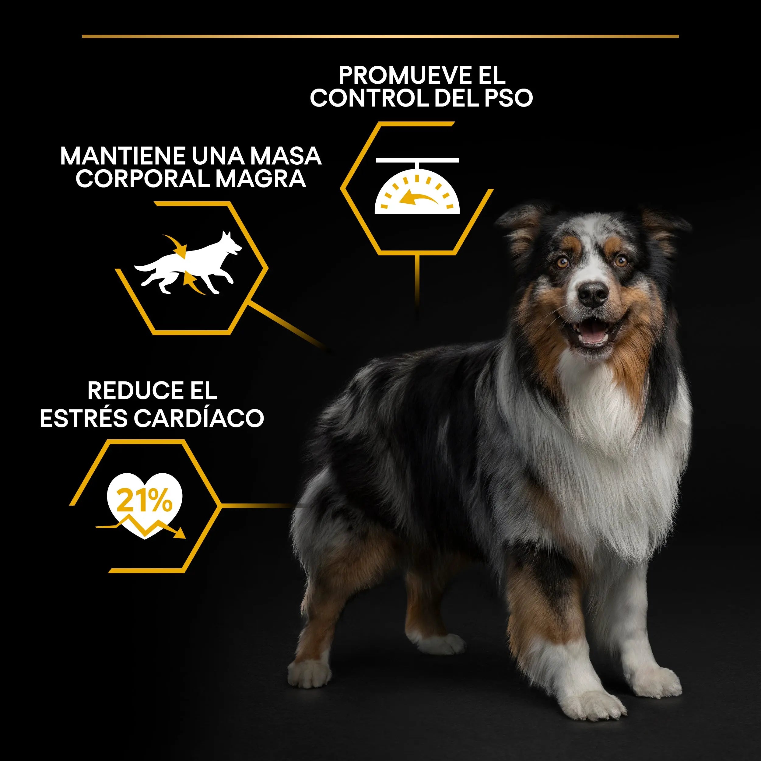 Pro Plan Dog Allsize Light Sterilized Pescado 3 kg al mejor precio -todoastorenimal.com