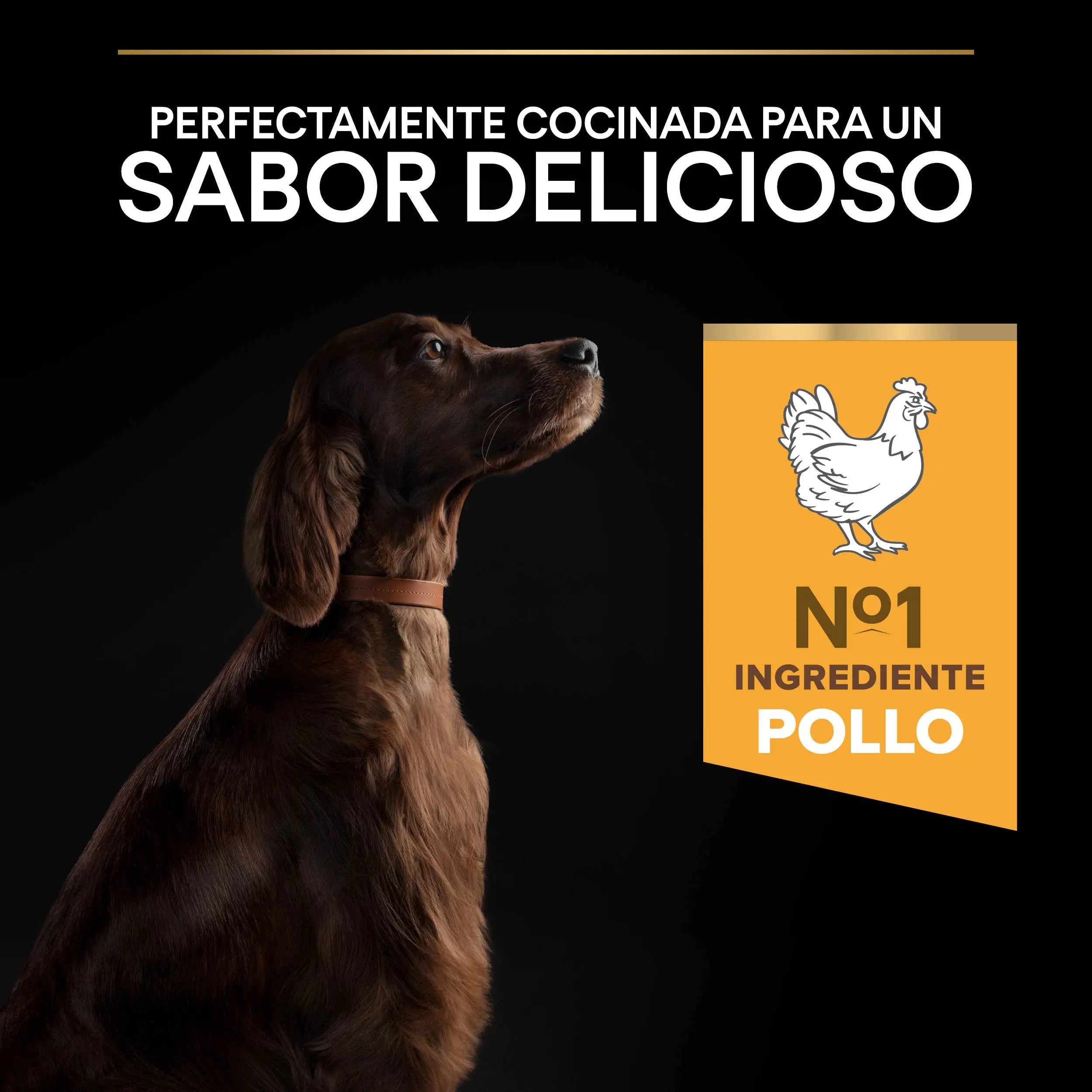Pro Plan Dog Large Athletic Adult Pollo 14 kg al mejor precio -todoastorenimal.com