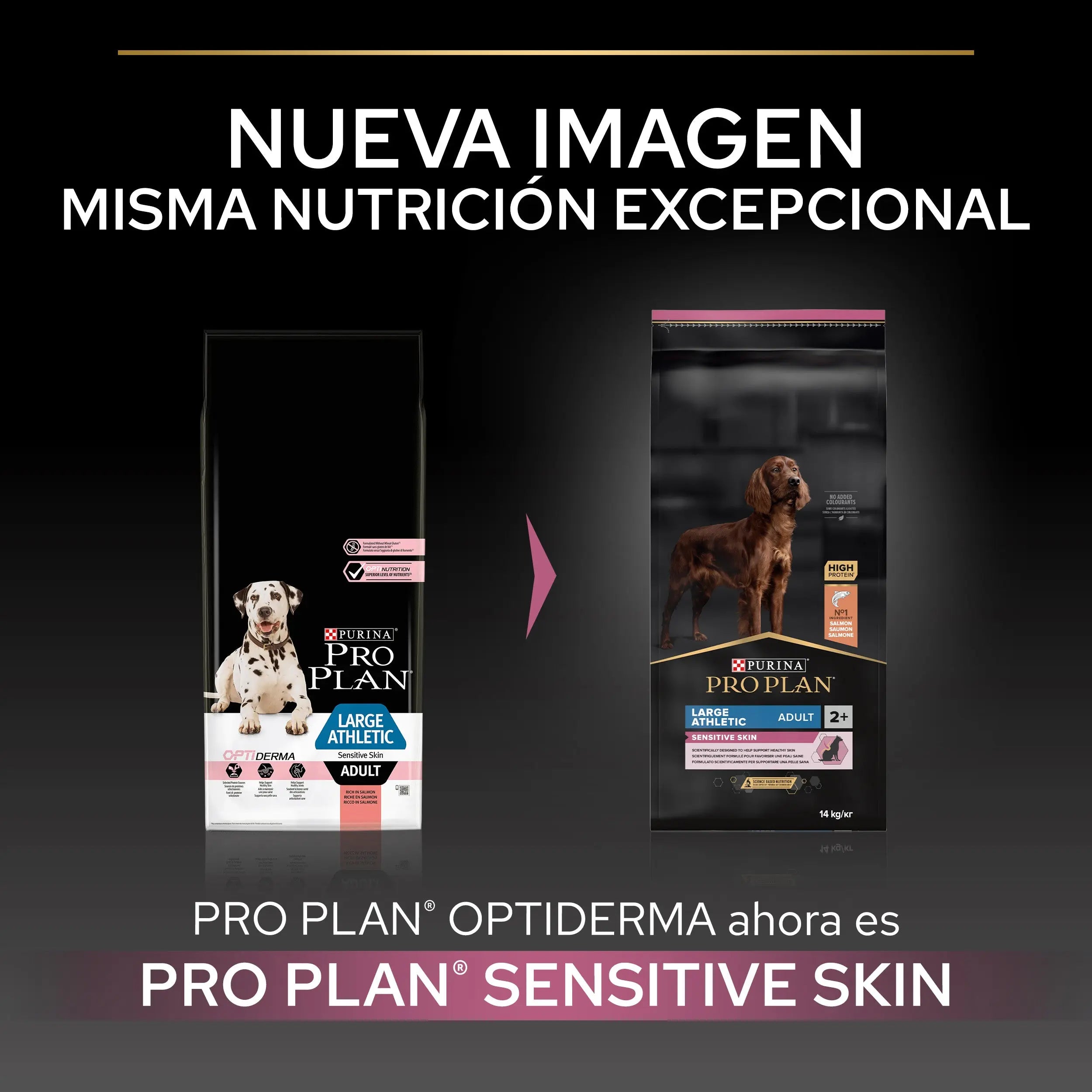 Pro Plan Dog Large Athletic Adult Skin Salmón 14 kg al mejor precio -todoastorenimal.com