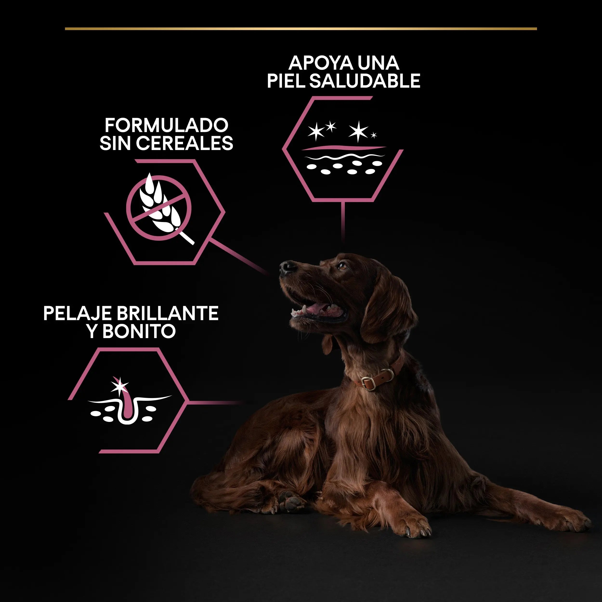 Pro Plan Dog Large Athletic Adult Skin Salmón 14 kg al mejor precio -todoastorenimal.com