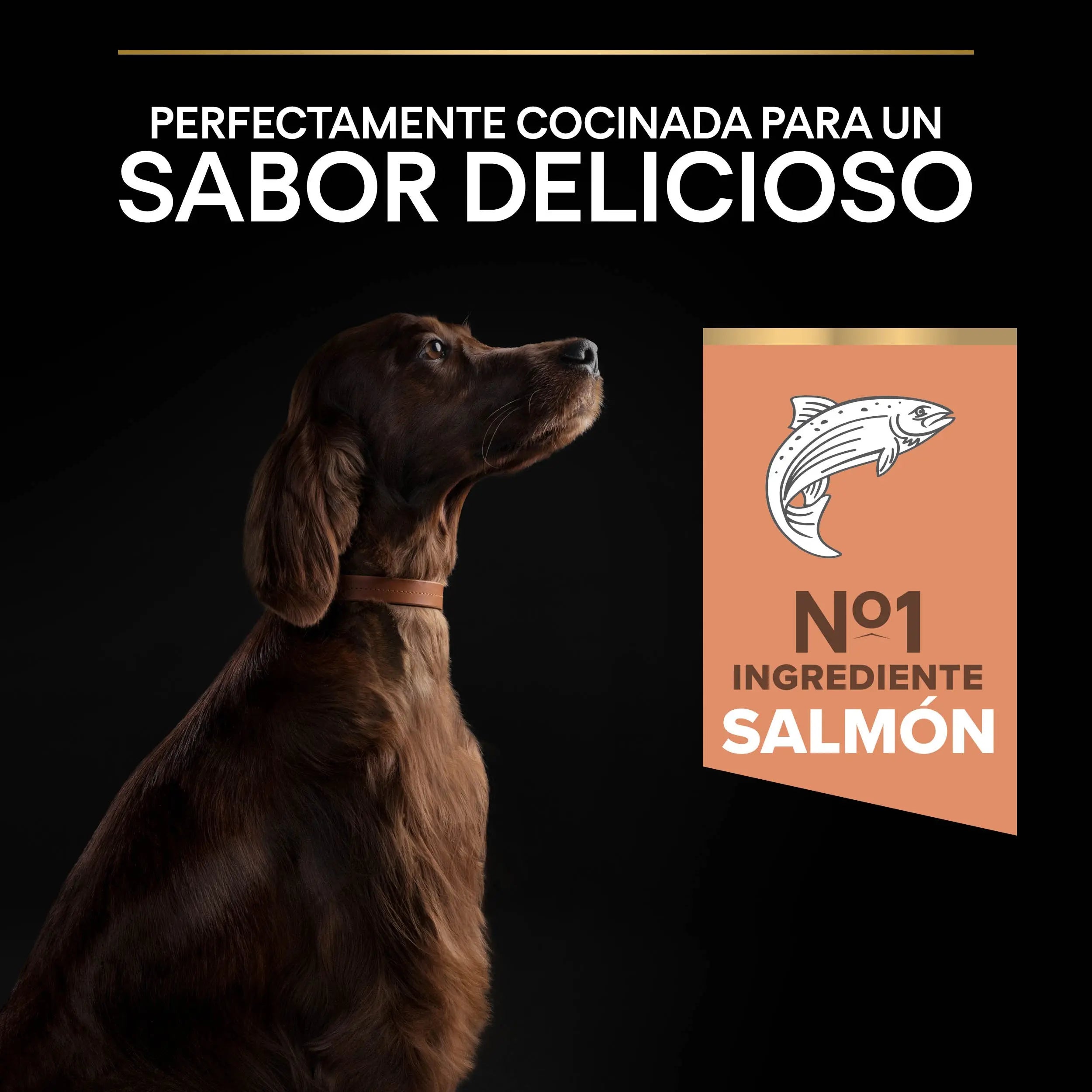 Pro Plan Dog Large Athletic Adult Skin Salmón 14 kg al mejor precio -todoastorenimal.com
