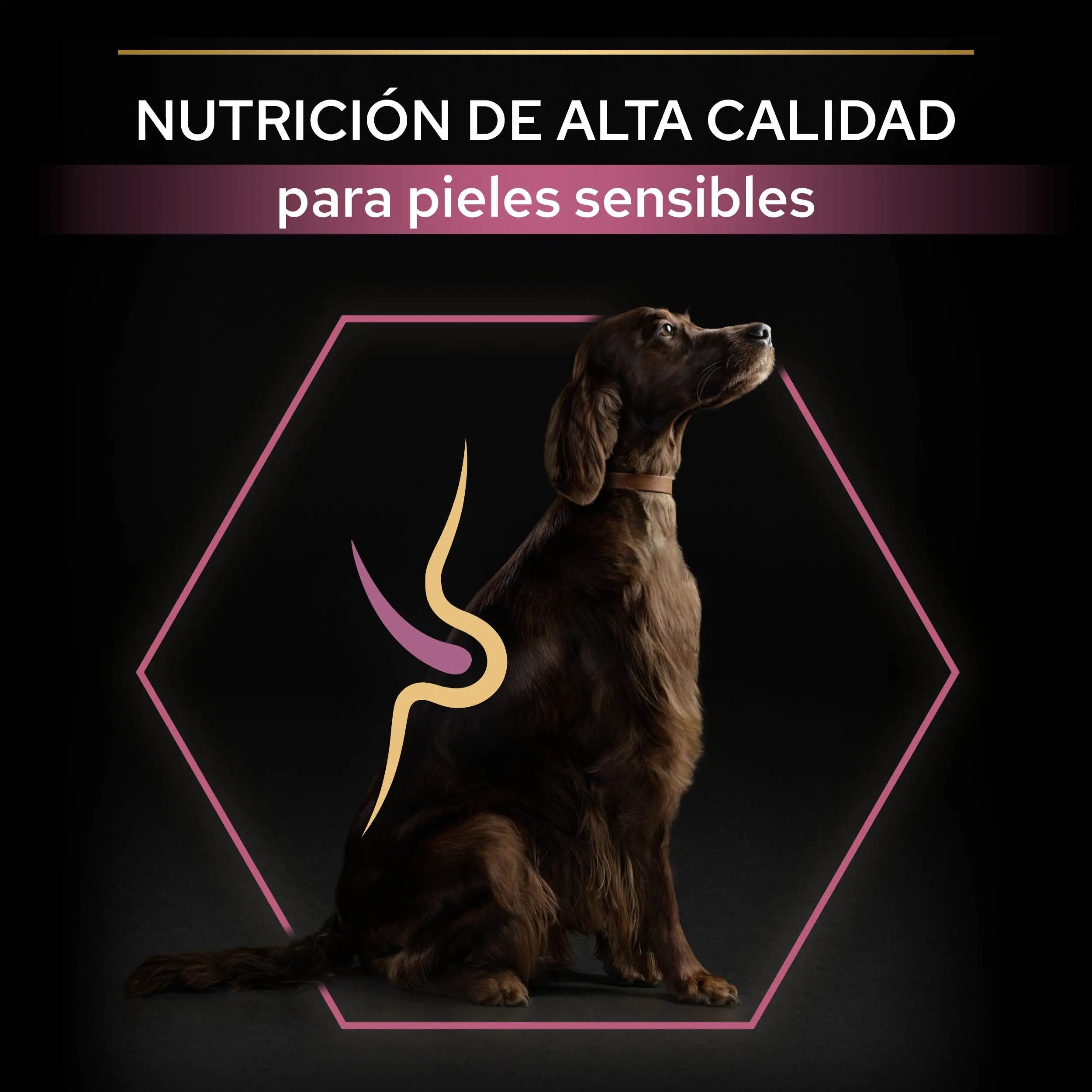 Pro Plan Dog Large Athletic Adult Skin Salmón 14 kg al mejor precio -todoastorenimal.com