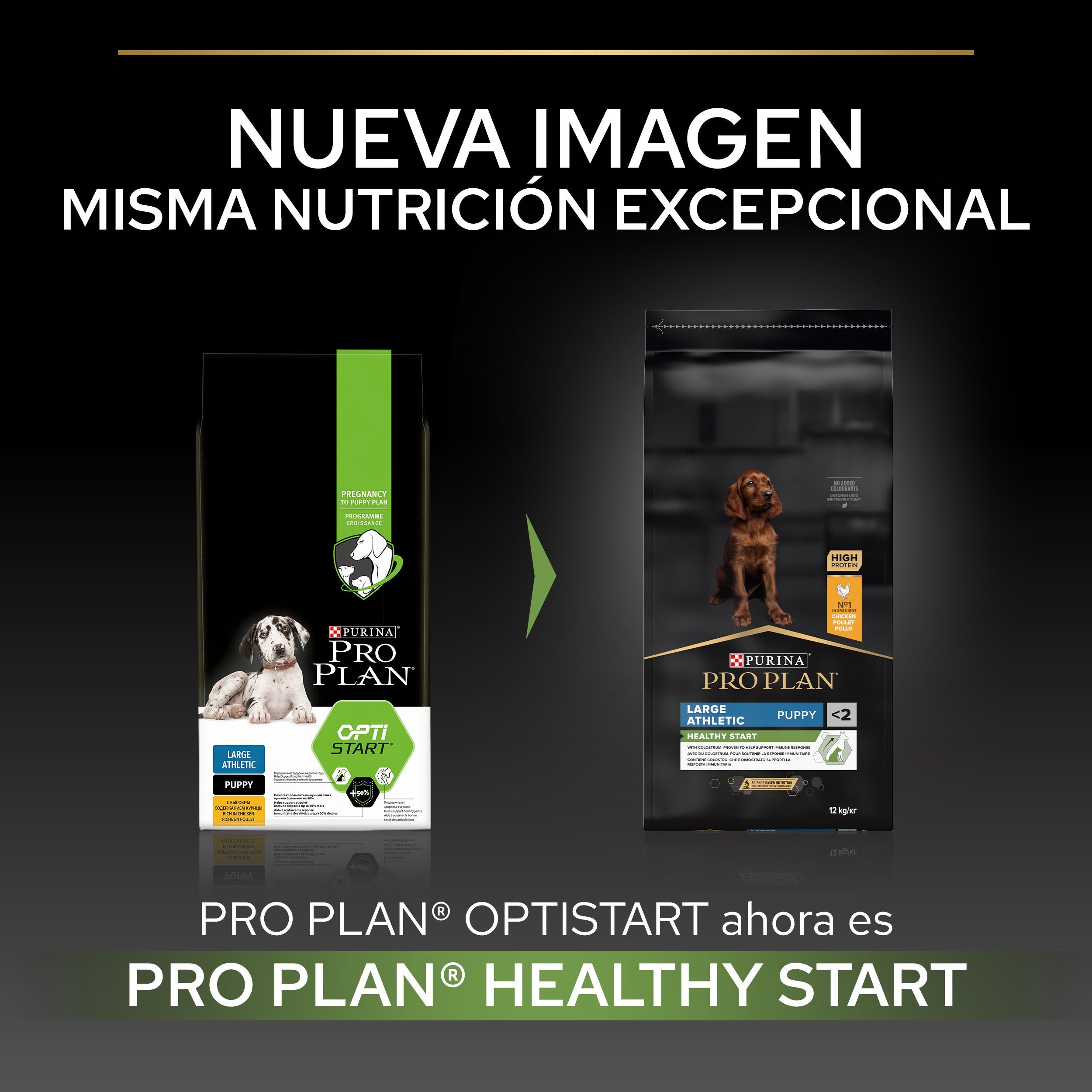 Pro Plan Dog Large Athletic Puppy Start Pollo Pienso para Cachorros al mejor precio -todoastorenimal.com