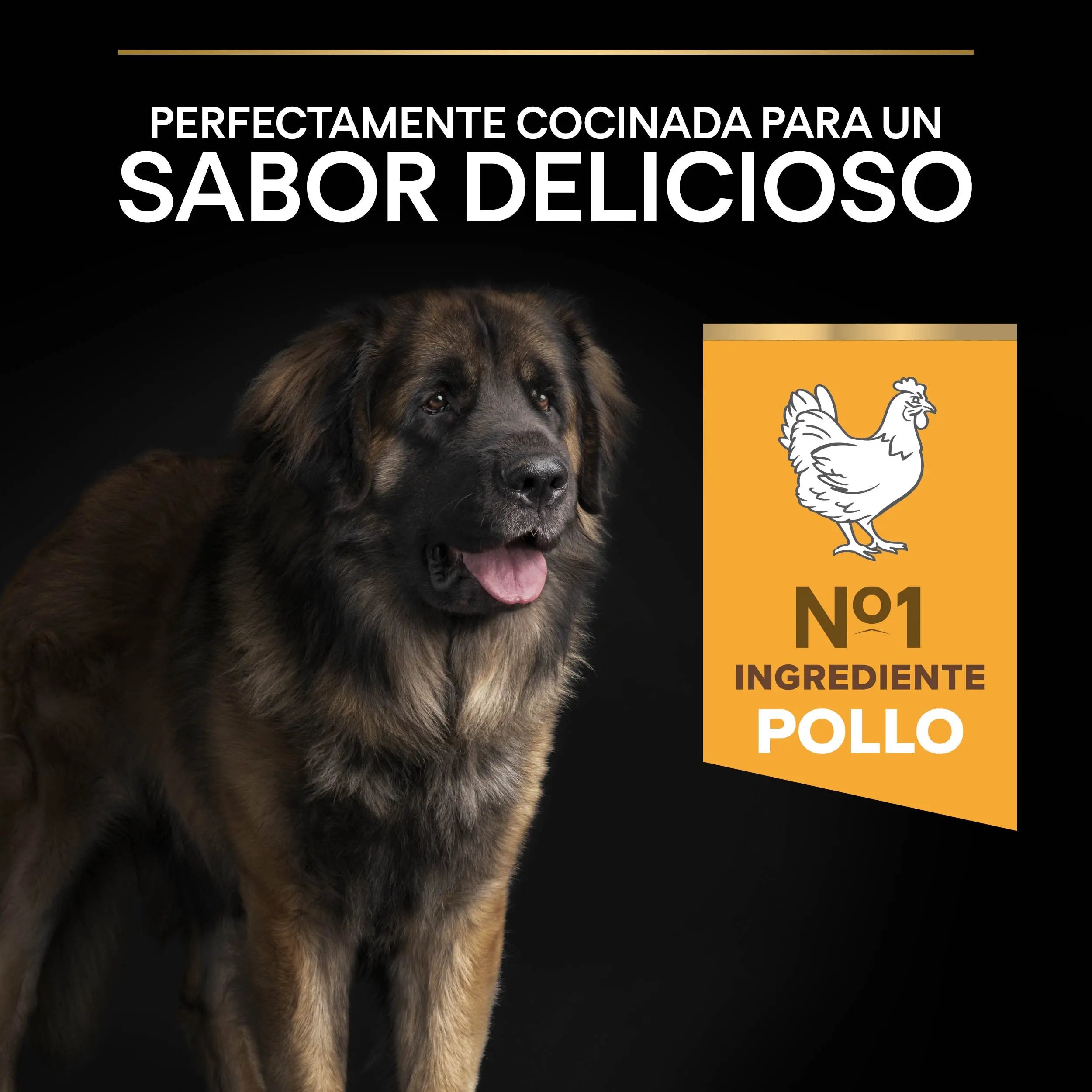 Pro Plan Dog Large Robust Adult Pollo 14 kg al mejor precio -todoastorenimal.com