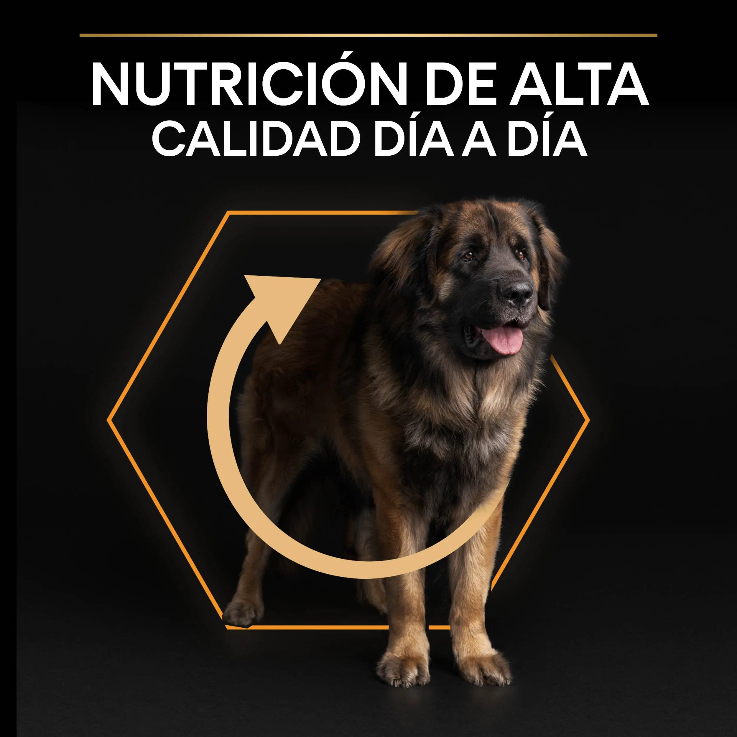 Pro Plan Dog Large Robust Adult Pollo 14 kg+2,5 kg gratis al mejor precio -todoastorenimal.com