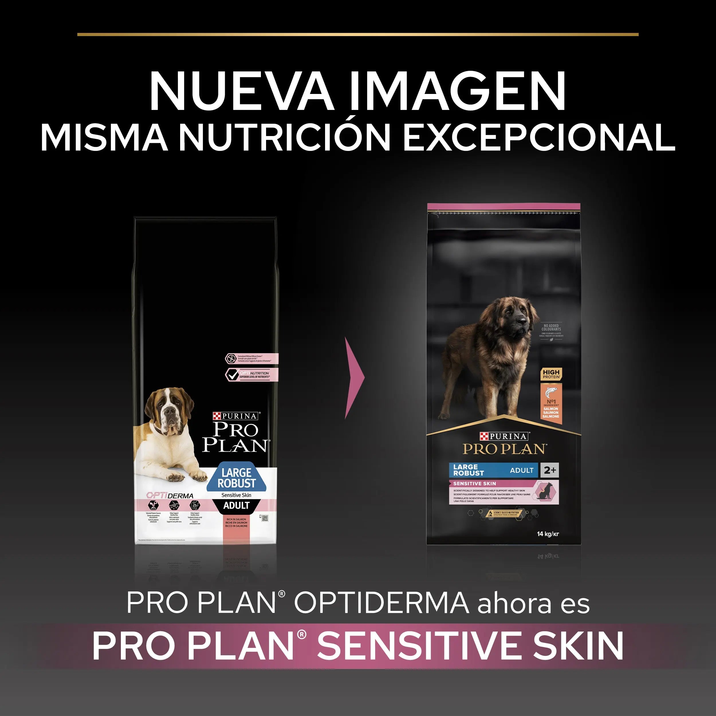Pro Plan Dog Large Robust Adult Skin Salmón 14 kg al mejor precio -todoastorenimal.com
