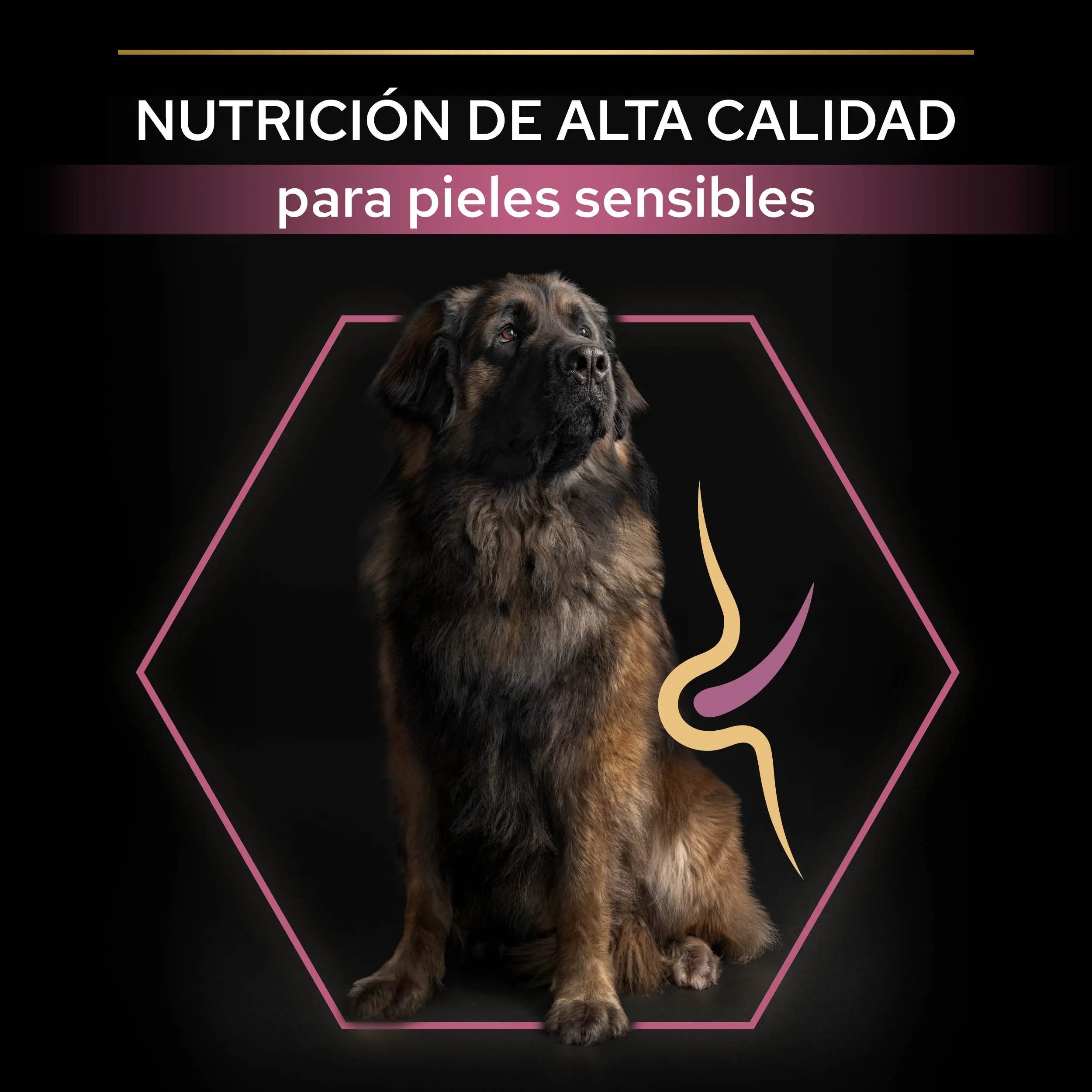 Pro Plan Dog Large Robust Adult Skin Salmón 14 kg al mejor precio -todoastorenimal.com
