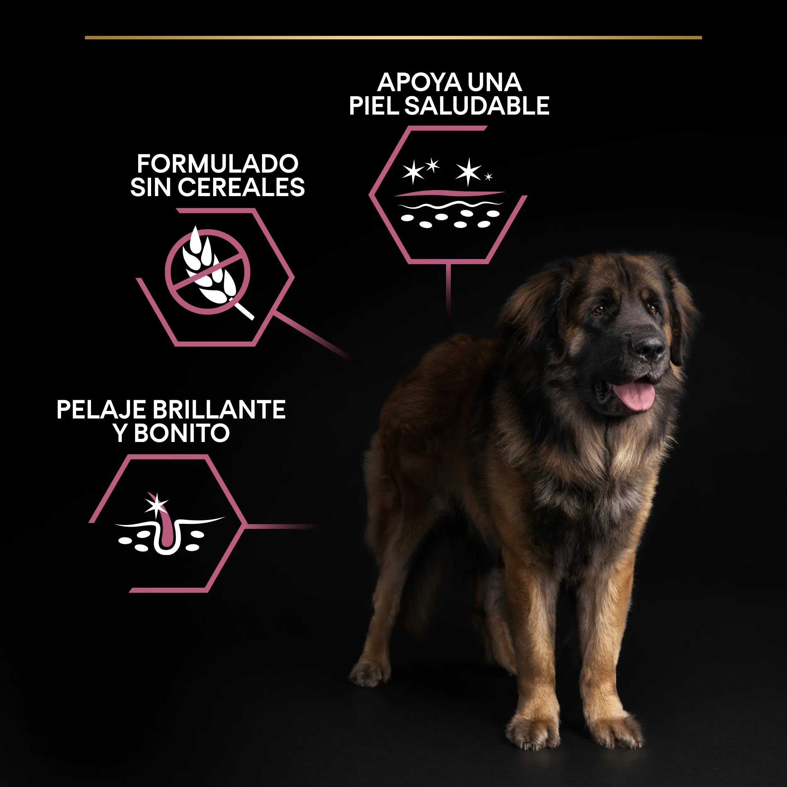 Pro Plan Dog Large Robust Adult Skin Salmón 14 kg al mejor precio -todoastorenimal.com