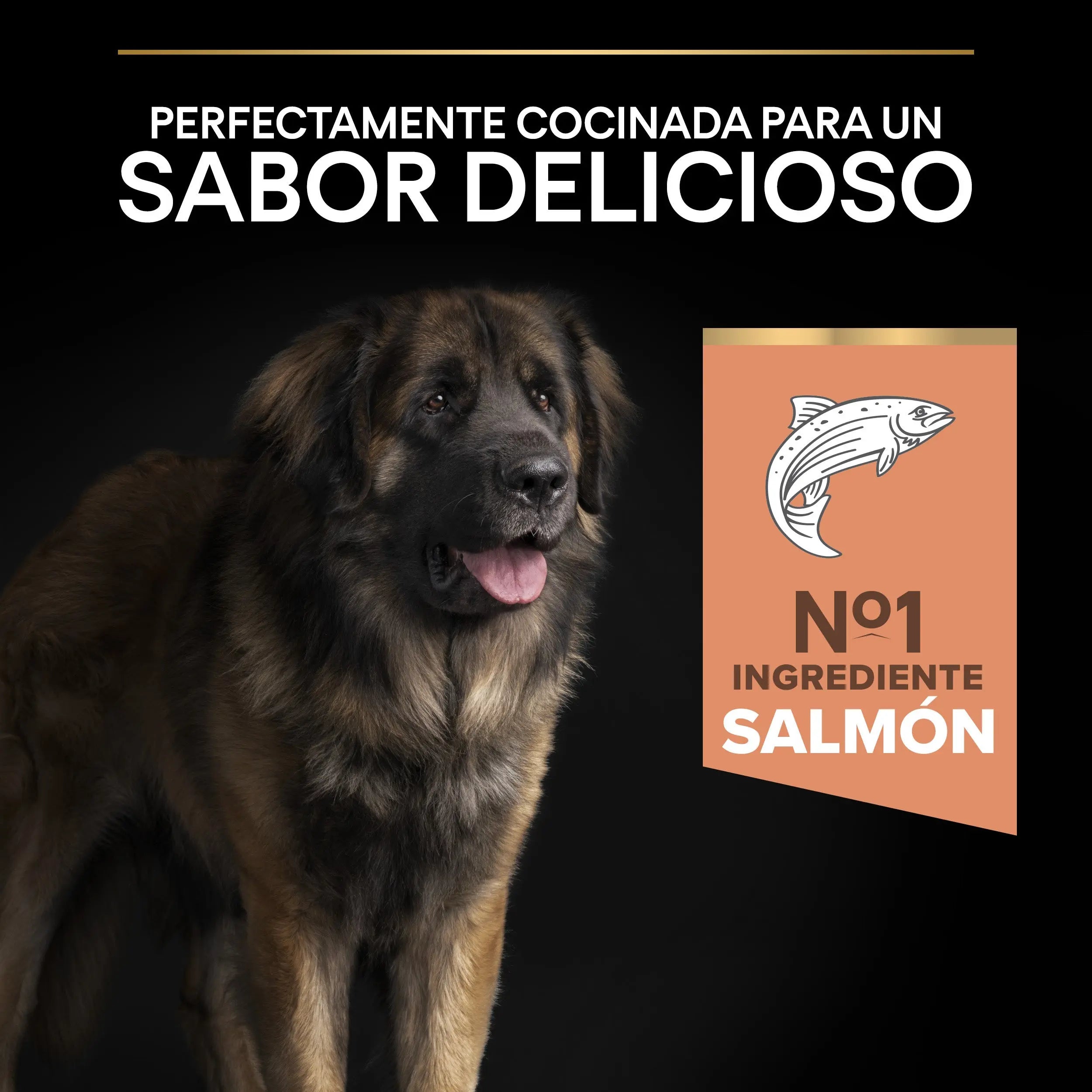 Pro Plan Dog Large Robust Adult Skin Salmón 14 kg al mejor precio -todoastorenimal.com