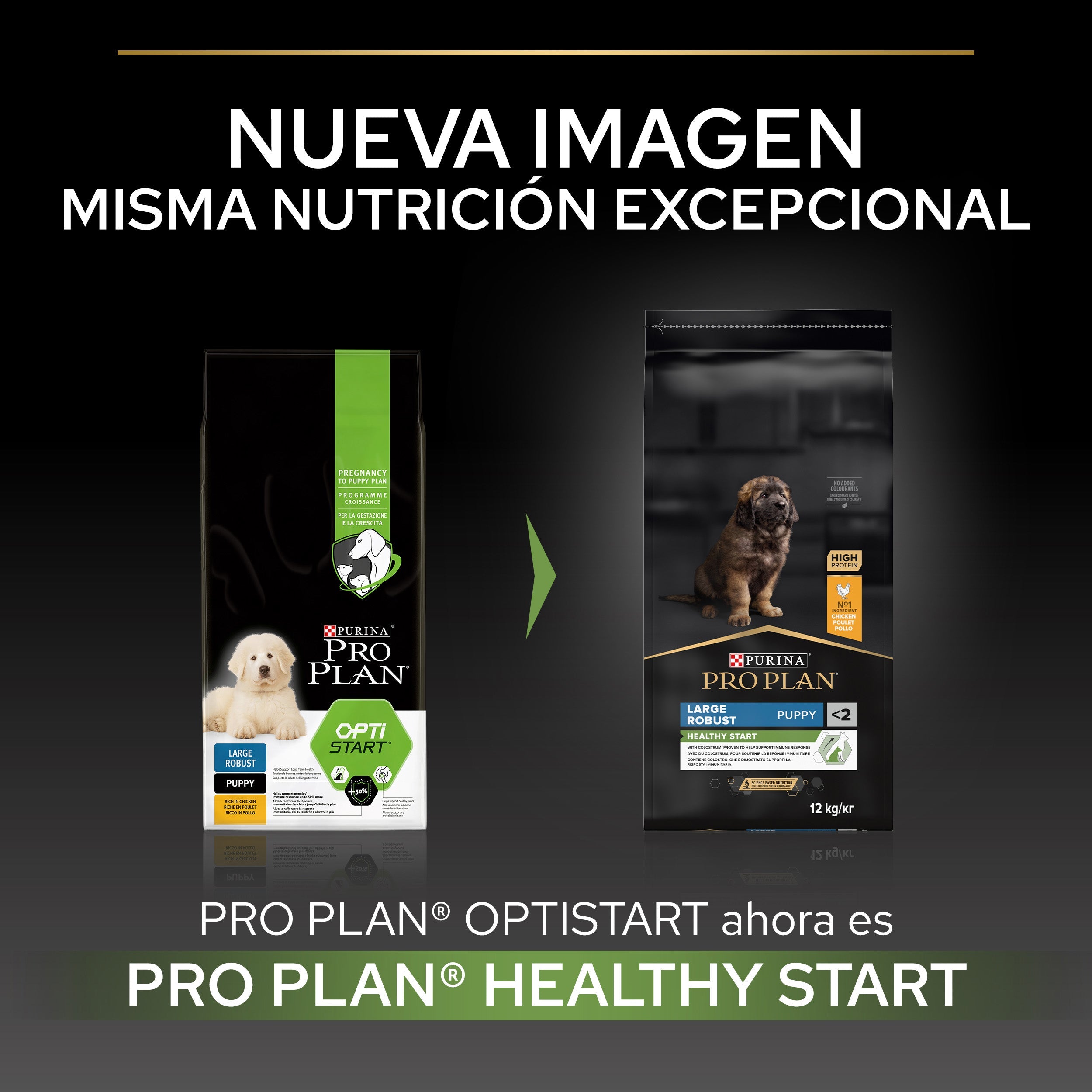 Pro Plan Dog Large Robust Puppy Start Pollo Pienso para Cachorros al mejor precio -todoastorenimal.com