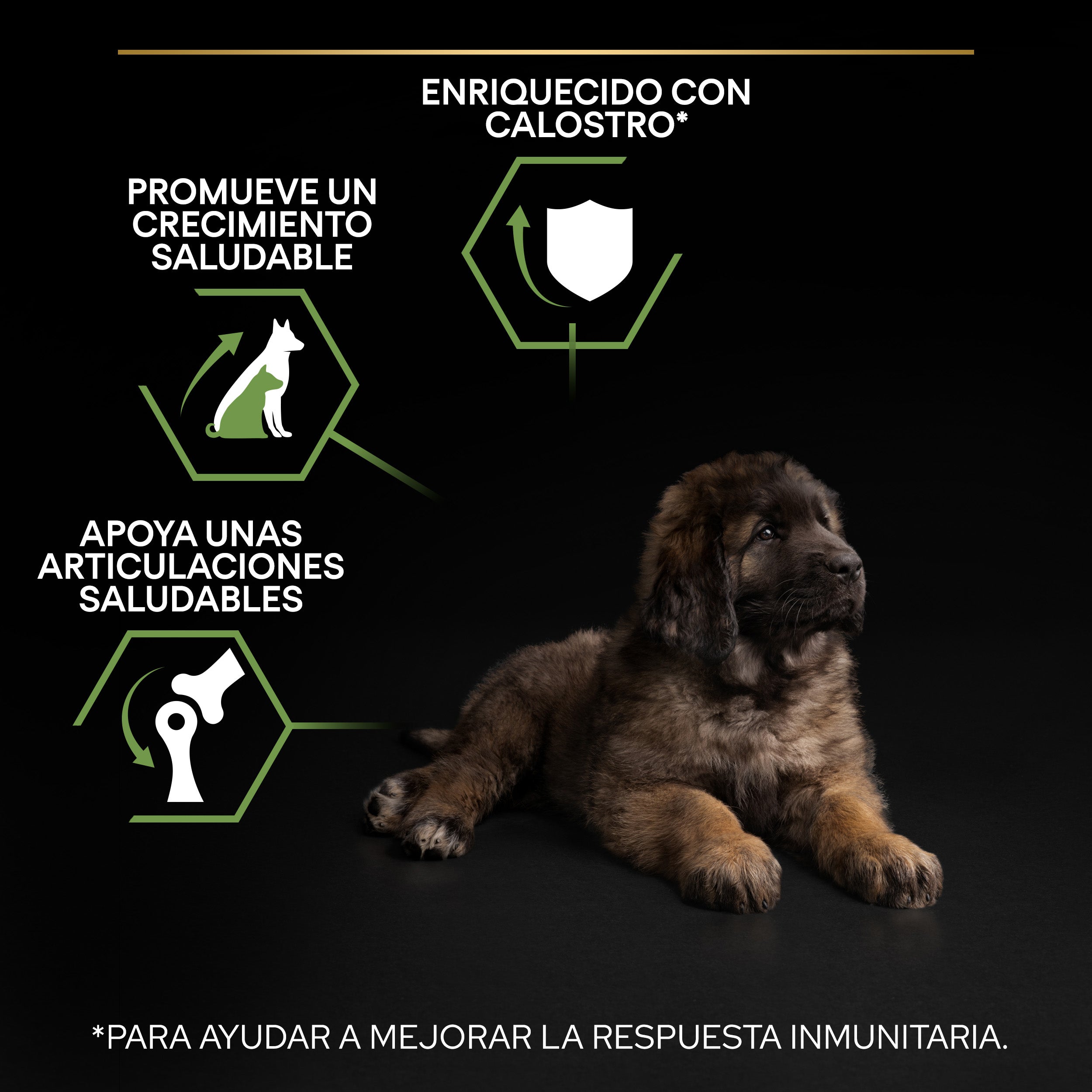Pro Plan Dog Large Robust Puppy Start Pollo Pienso para Cachorros al mejor precio -todoastorenimal.com