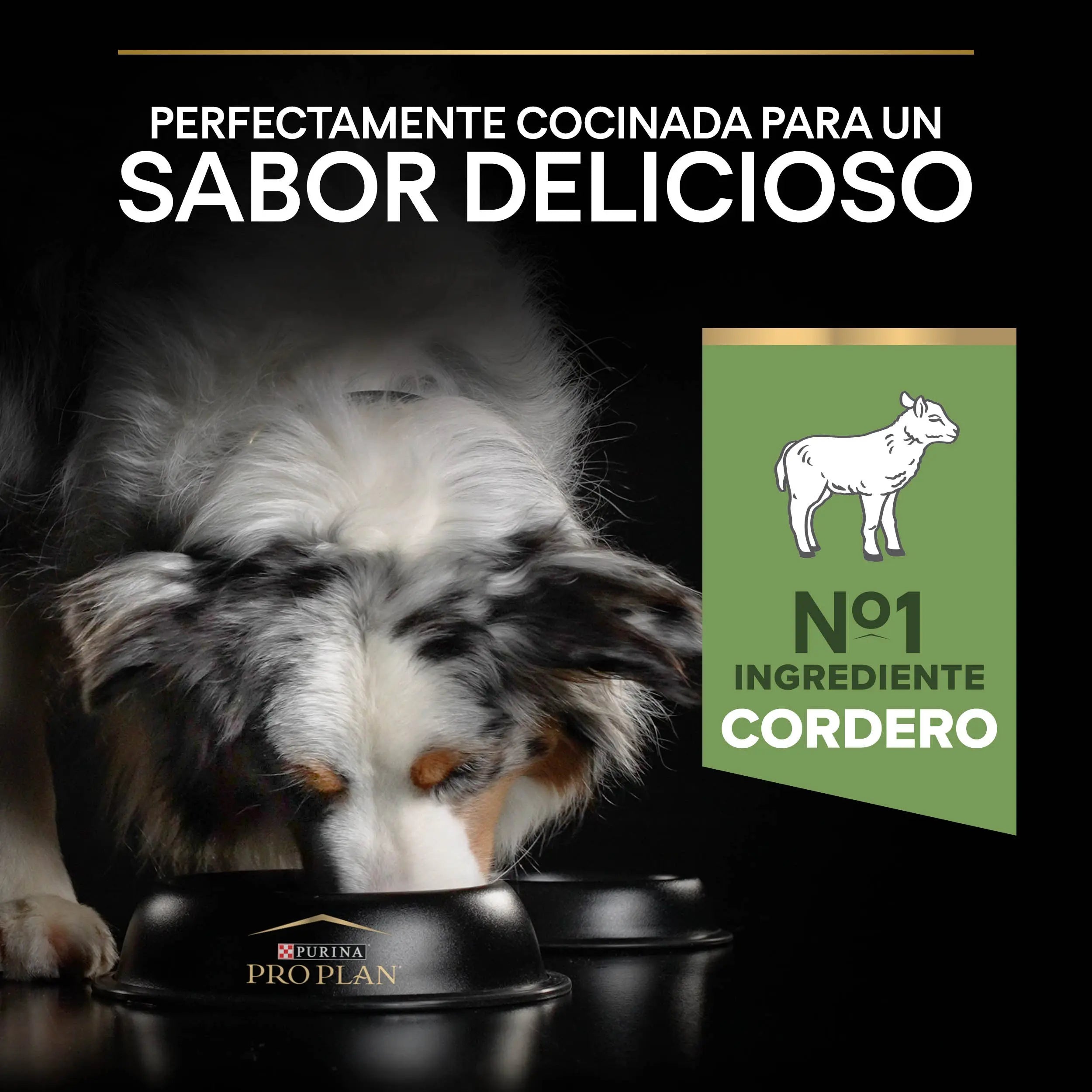 Pro Plan Dog Medium Adult Digest Cordero 3 kg al mejor precio -todoastorenimal.com