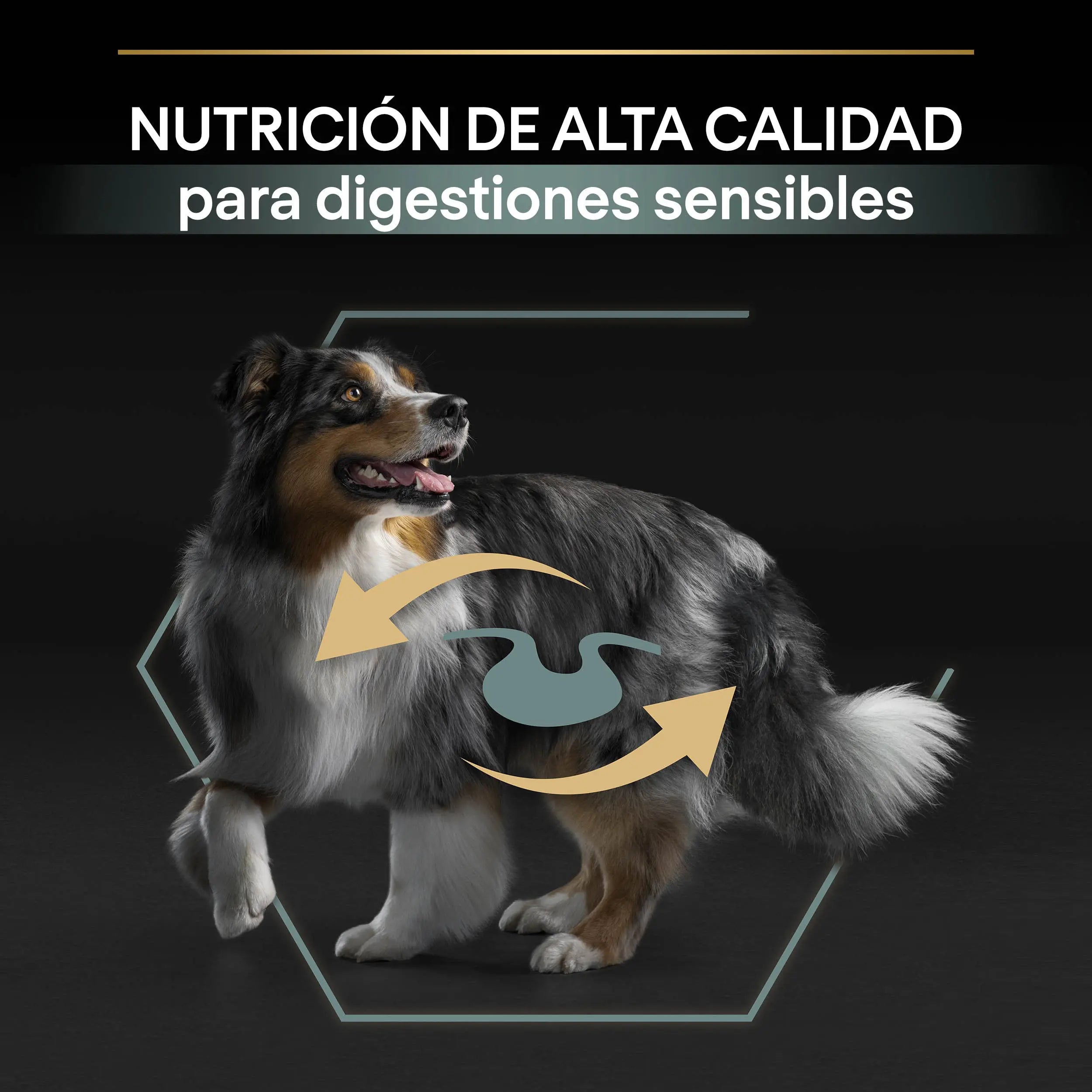 Pro Plan Dog Medium Adult Digest Cordero 3 kg al mejor precio -todoastorenimal.com