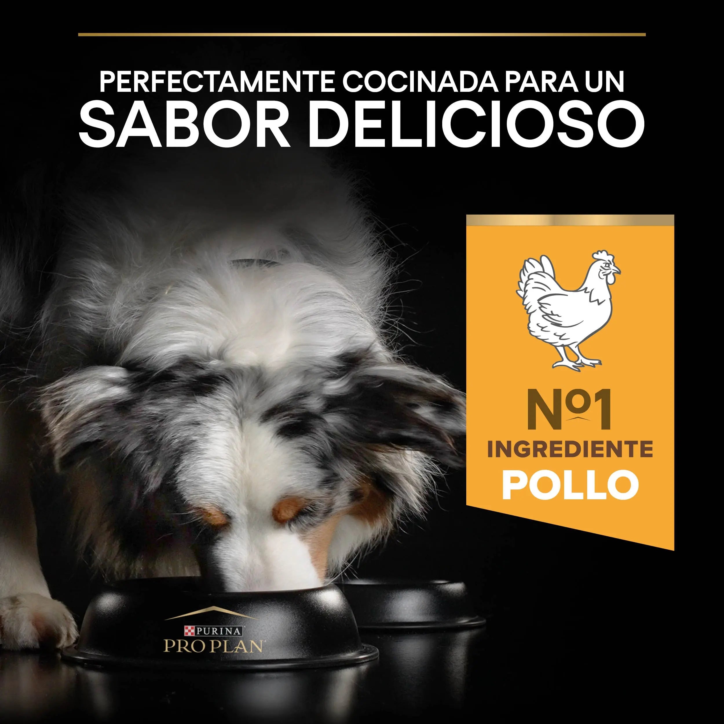 Pro Plan Dog Medium Adult Pollo 14 kg al mejor precio -todoastorenimal.com