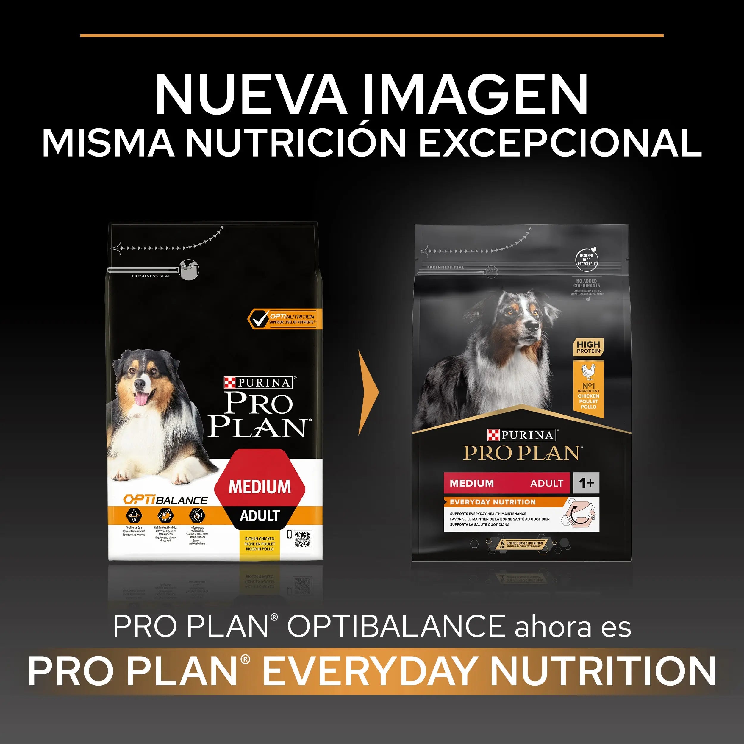 Pro Plan Dog Medium Adult Pollo 14 kg+2,5 kg gratis al mejor precio -todoastorenimal.com