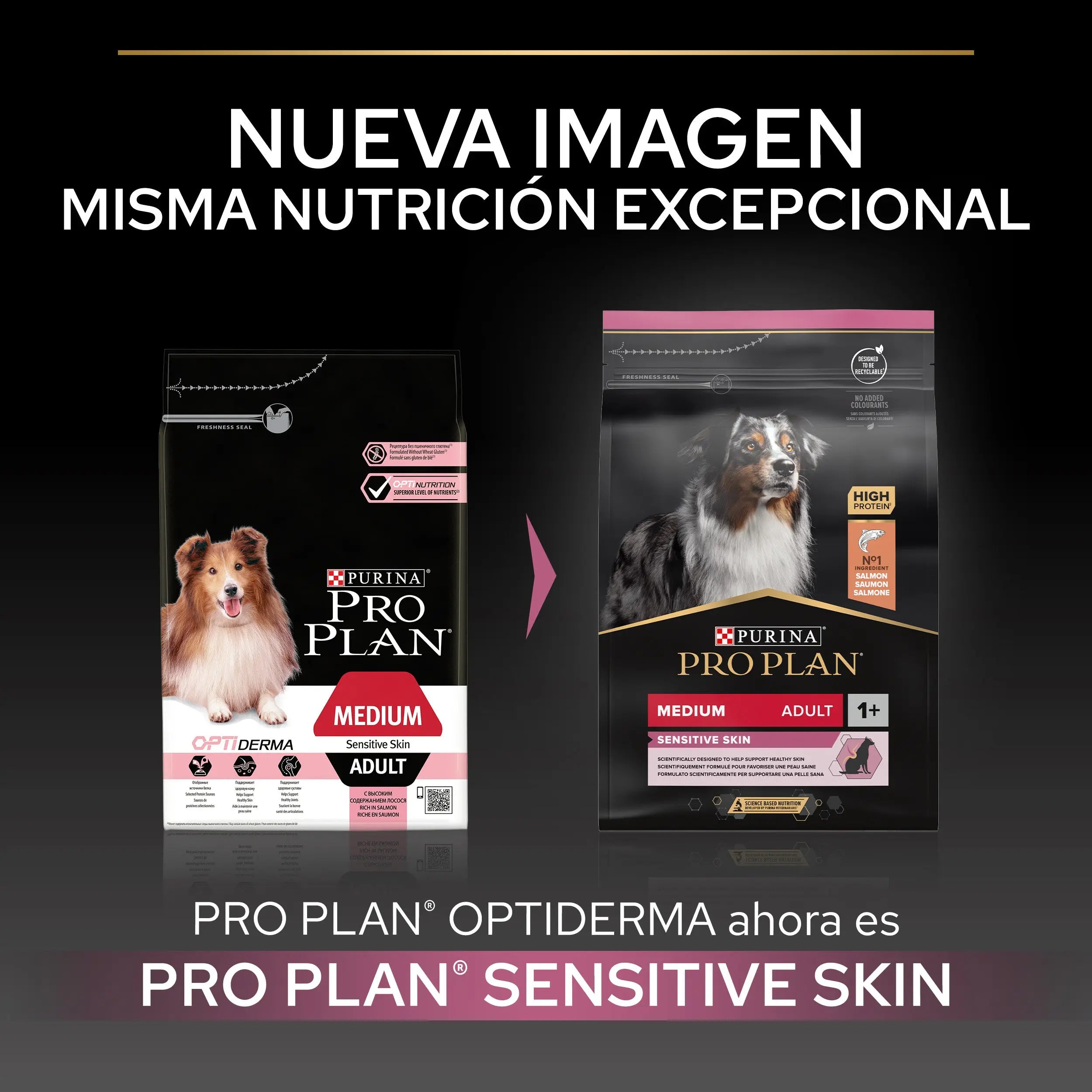 Pro Plan Dog Medium Adult Skin Salmón 14 kg al mejor precio -todoastorenimal.com