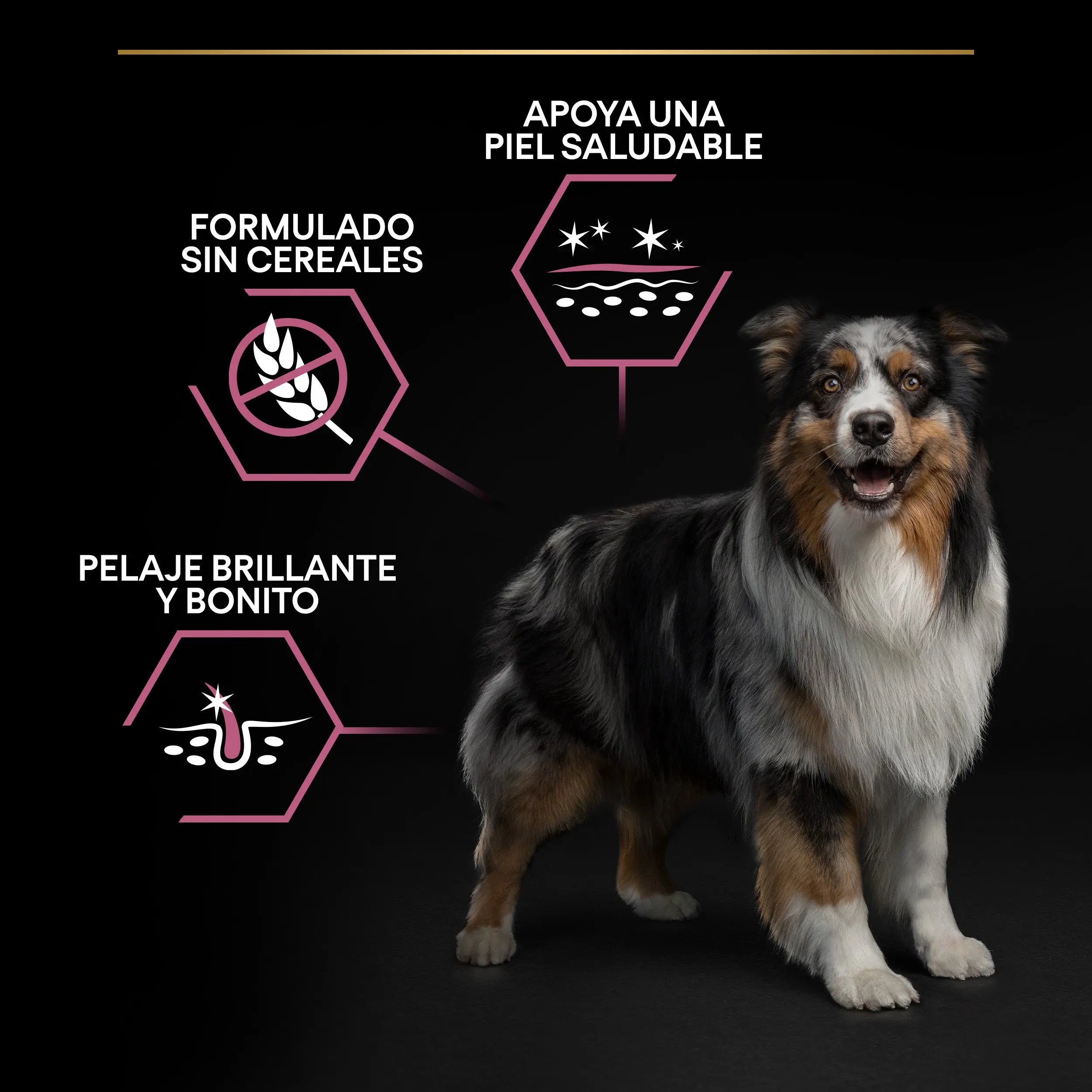 Pro Plan Dog Medium Adult Skin Salmón 14 kg al mejor precio -todoastorenimal.com