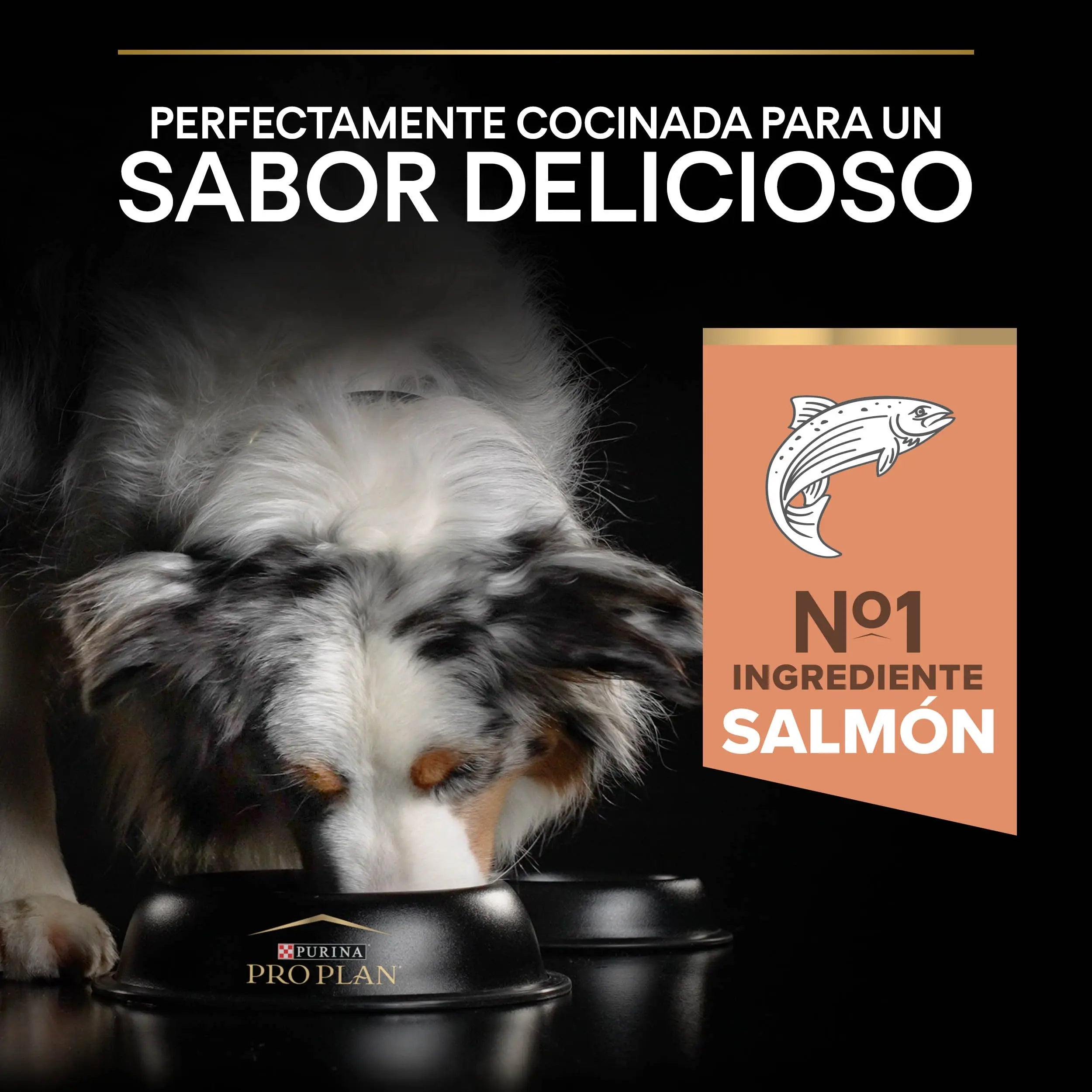 Pro Plan Dog Medium Adult Skin Salmón 14 kg al mejor precio -todoastorenimal.com