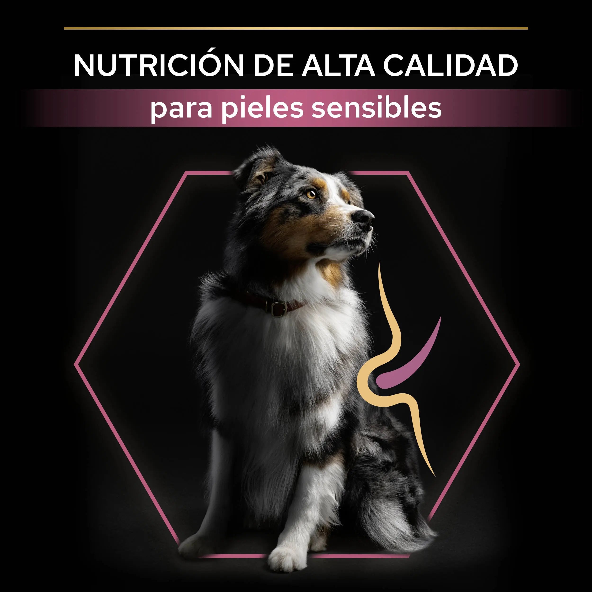 Pro Plan Dog Medium Adult Skin Salmón 14 kg al mejor precio -todoastorenimal.com