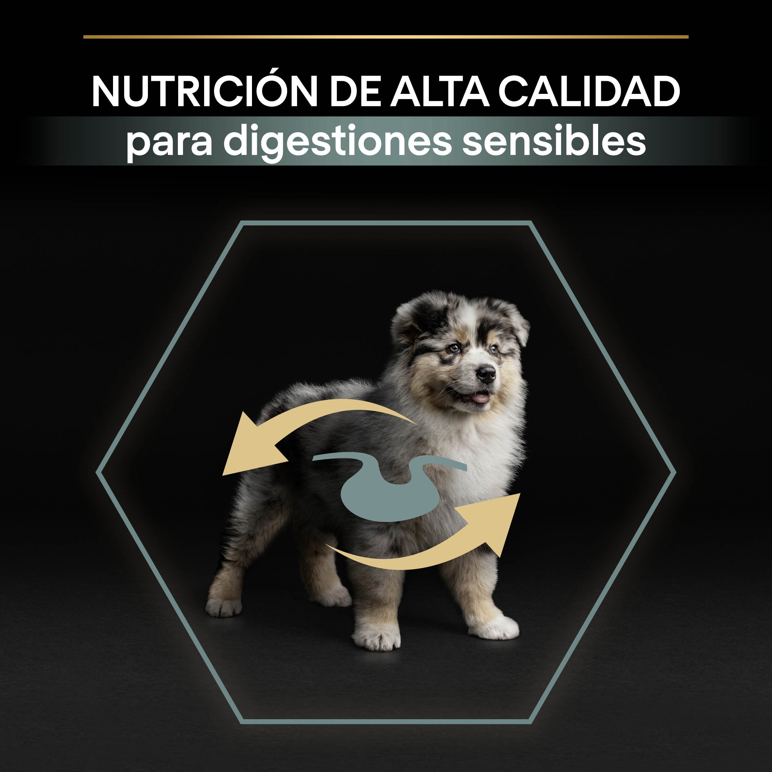 Pro Plan Dog Medium Puppy Digest Cordero Pienso para Cachorros al mejor precio -todoastorenimal.com