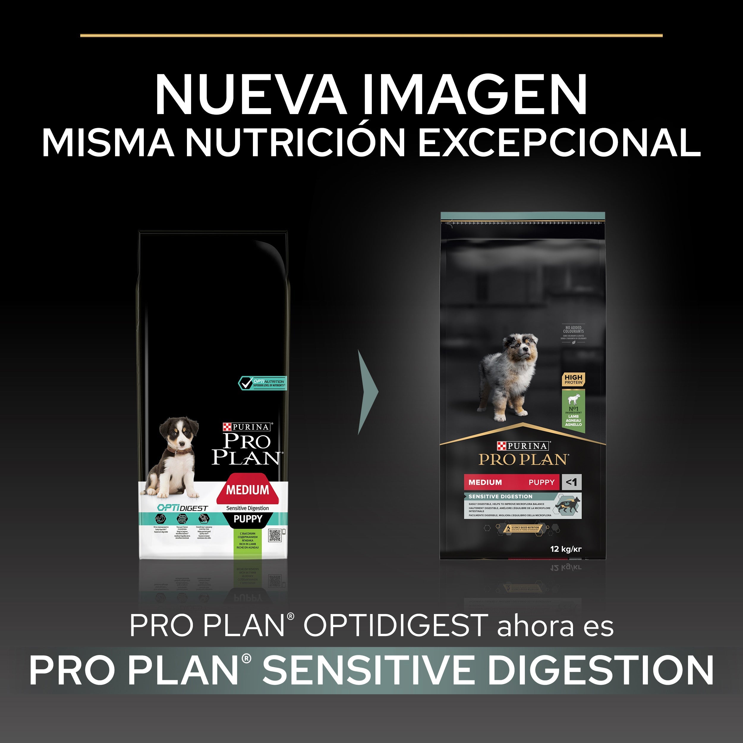 Pro Plan Dog Medium Puppy Digest Cordero Pienso para Cachorros al mejor precio -todoastorenimal.com